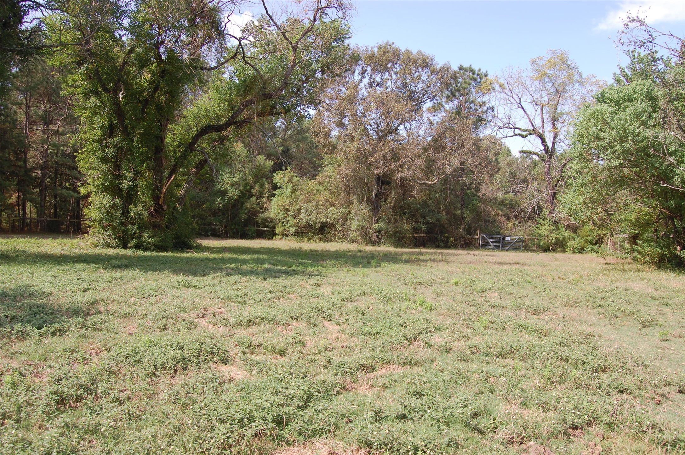 20075 Forestview Drive Property Photo 11