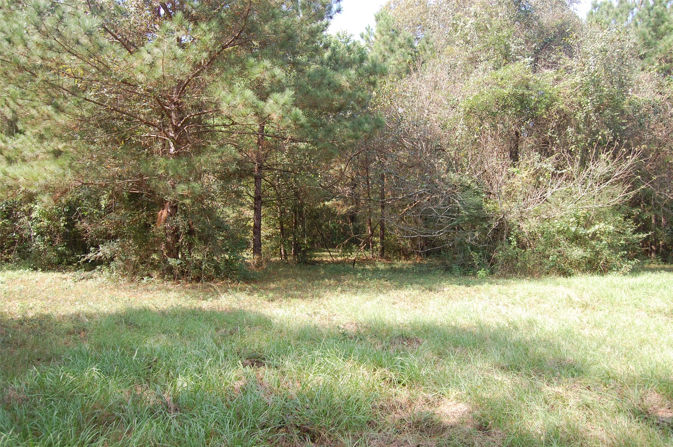 20075 Forestview Drive Property Photo 12