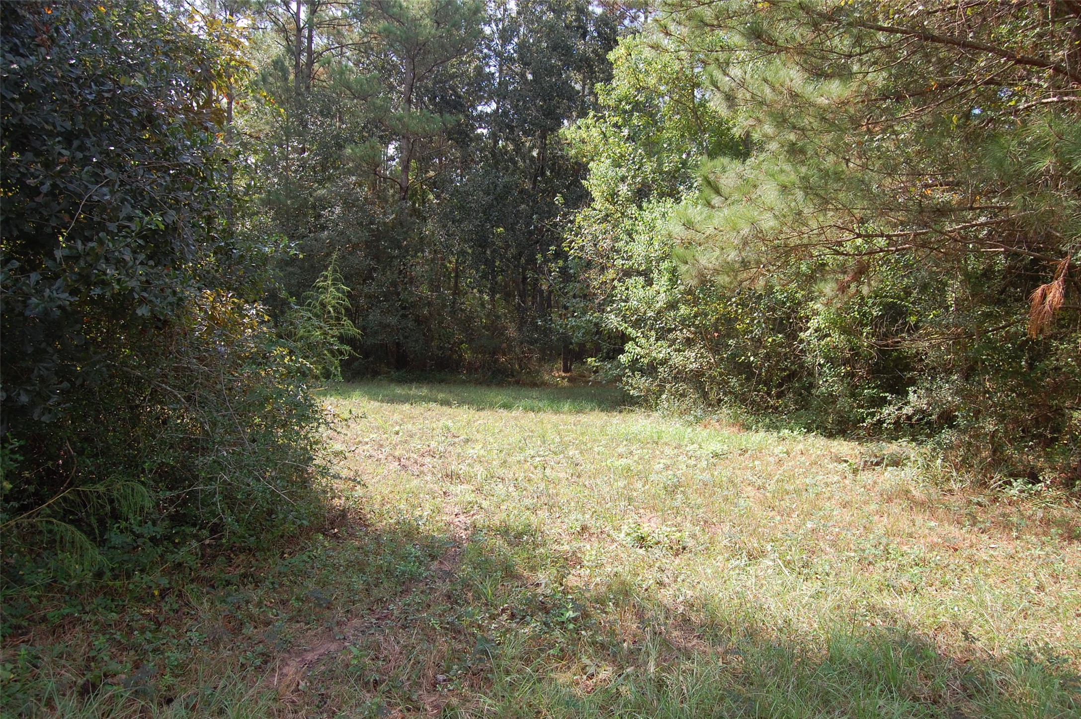 20075 Forestview Drive Property Photo 13
