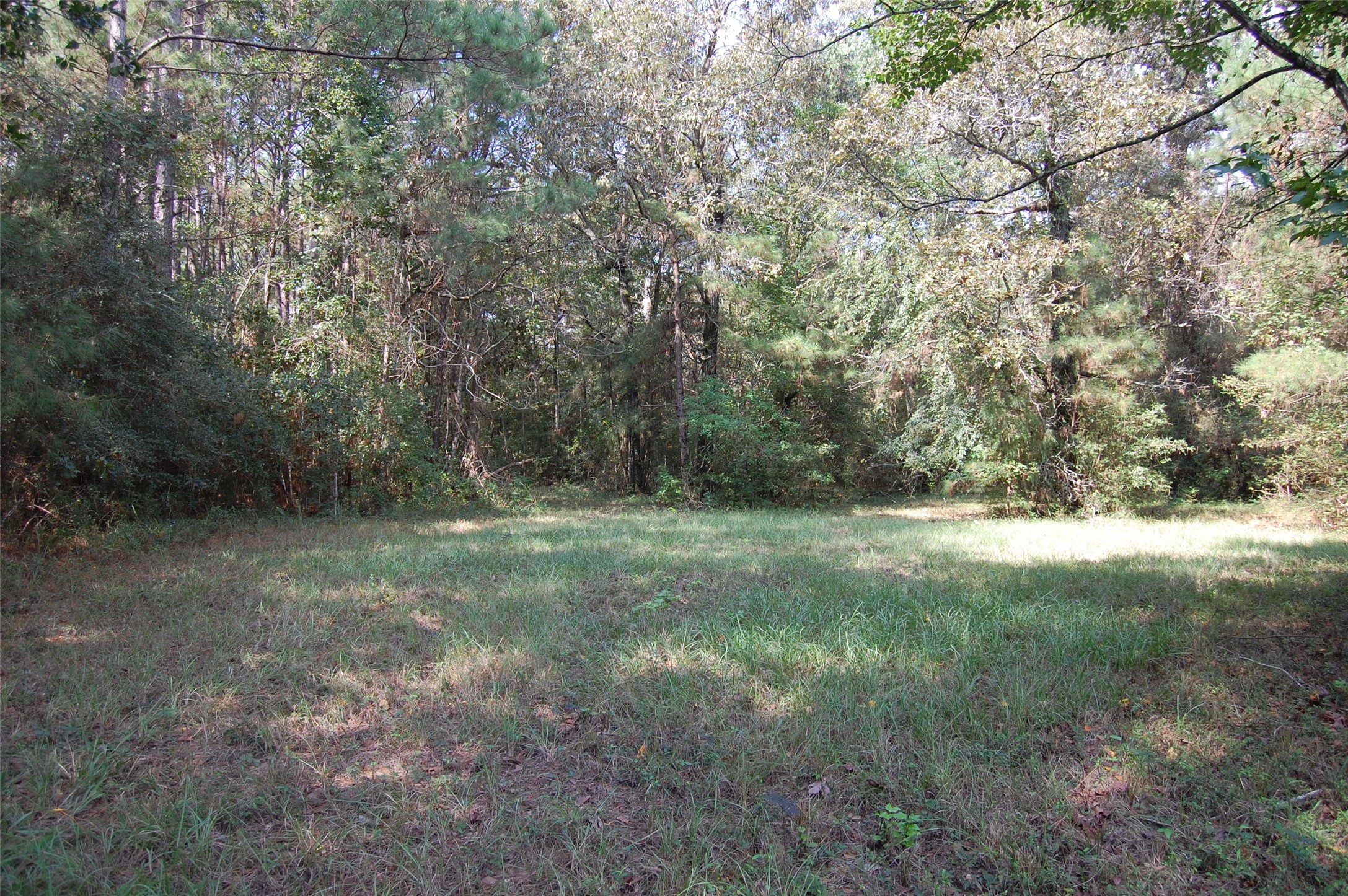 20075 Forestview Drive Property Photo 14