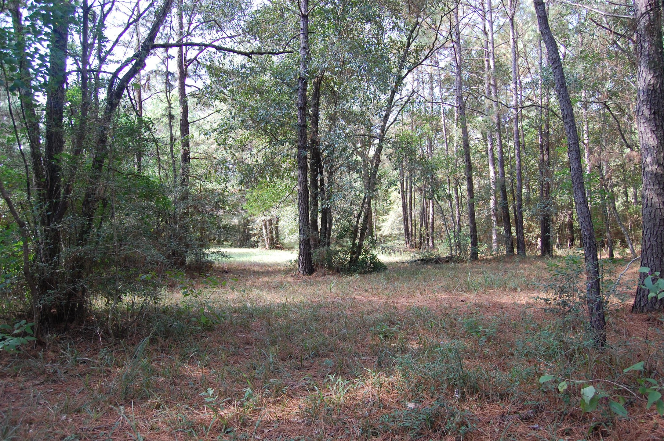 20075 Forestview Drive Property Photo 15