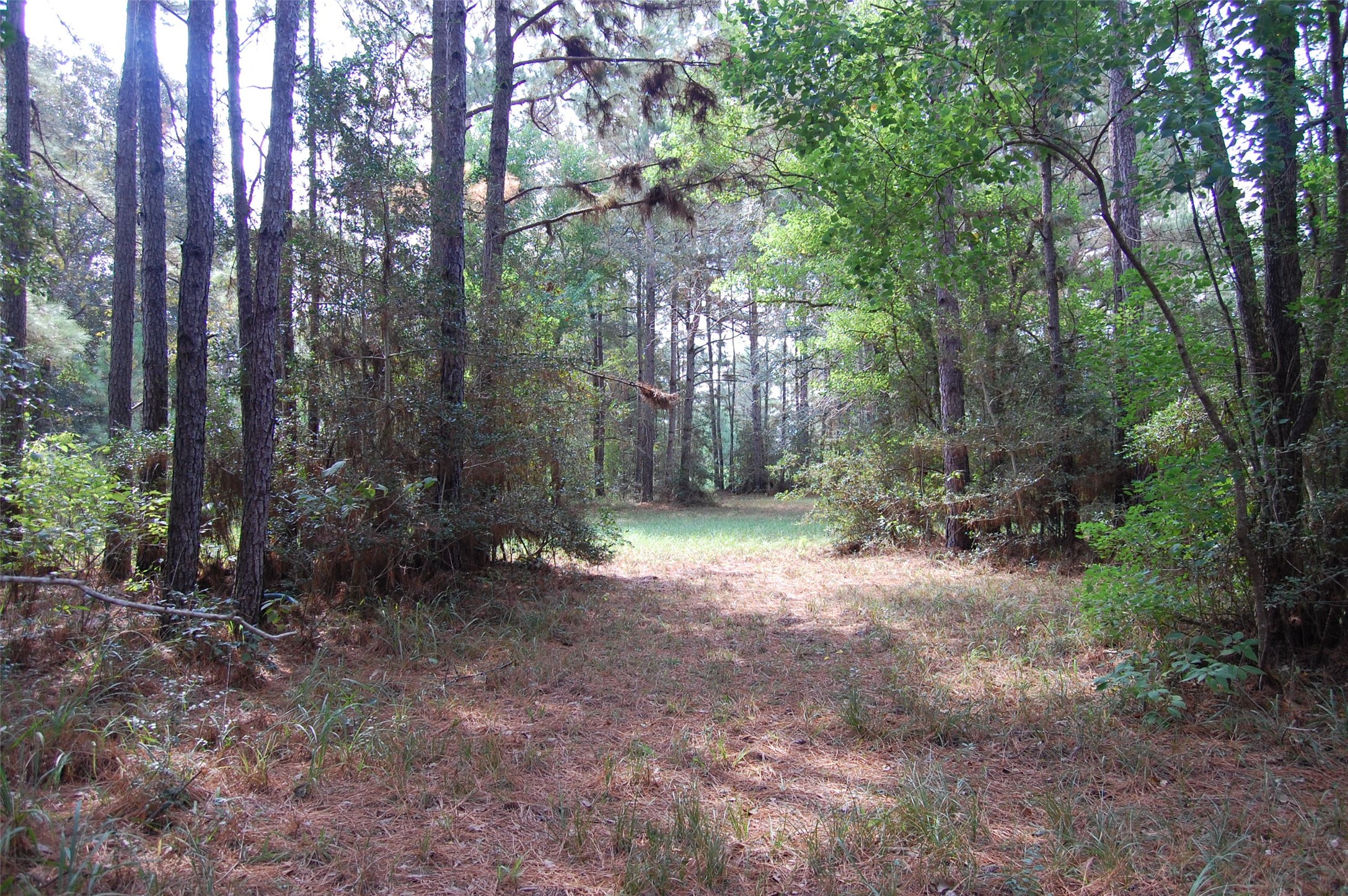 20075 Forestview Drive Property Photo 16