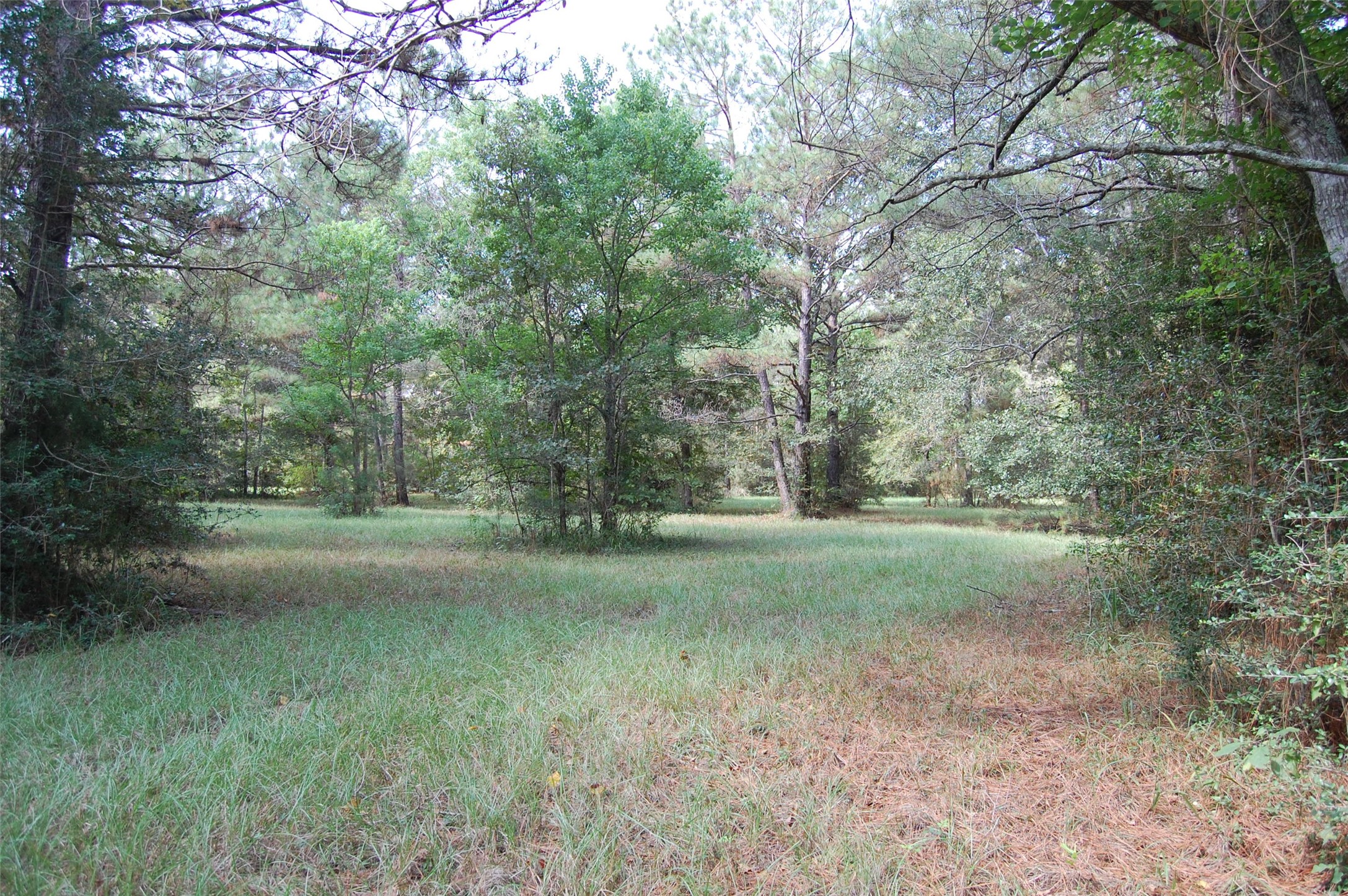 20075 Forestview Drive Property Photo 17