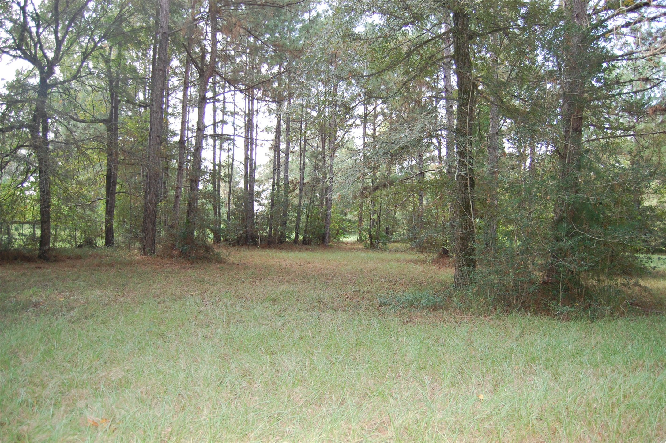 20075 Forestview Drive Property Photo 18