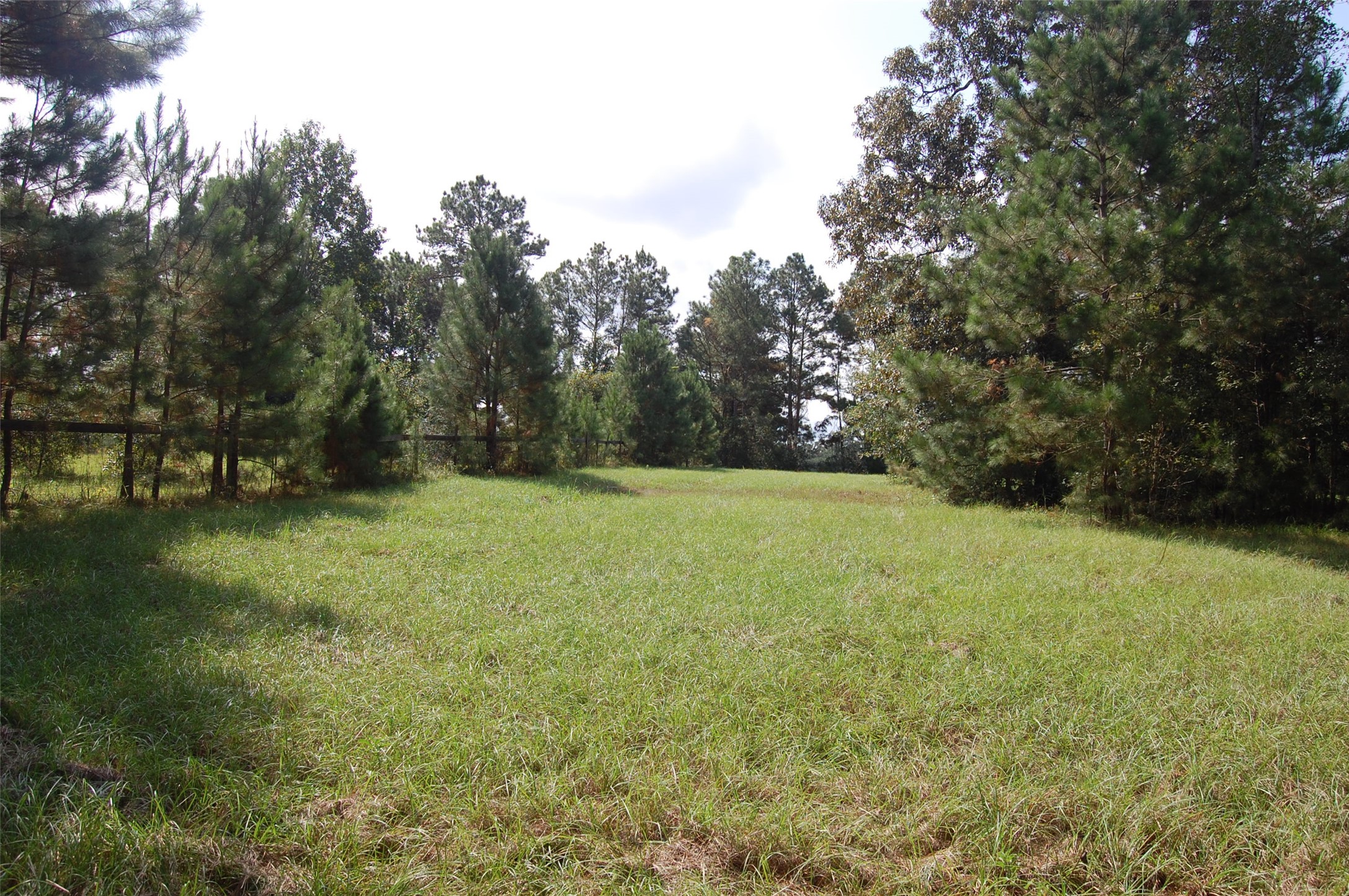 20075 Forestview Drive Property Photo 19