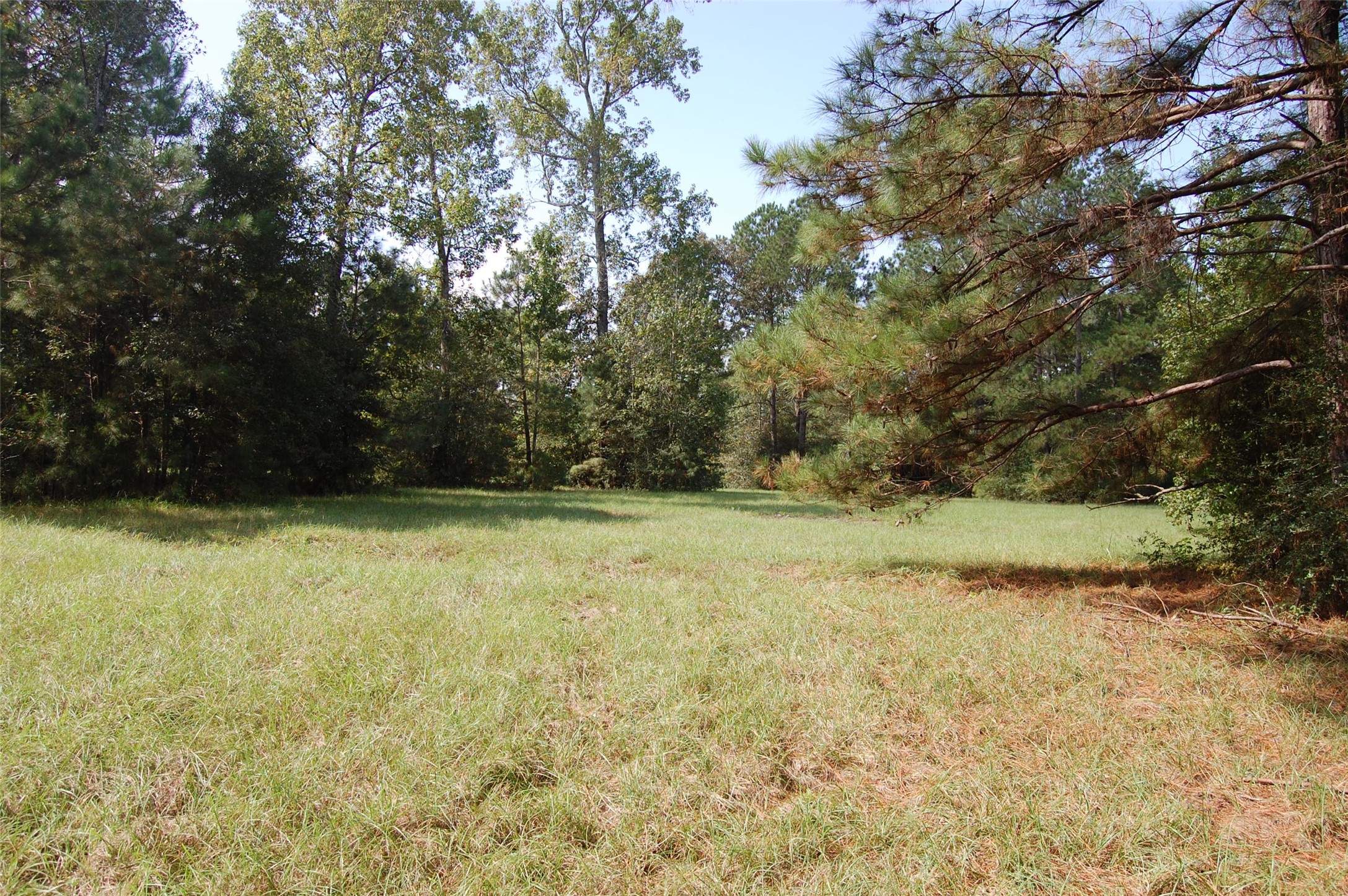 20075 Forestview Drive Property Photo 20