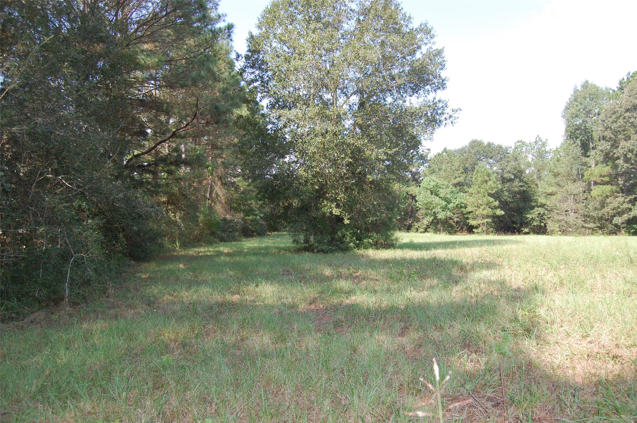 20075 Forestview Drive Property Photo 21