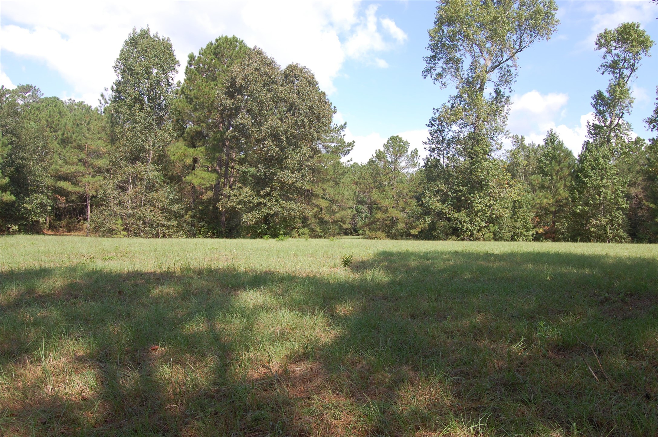 20075 Forestview Drive Property Photo 22