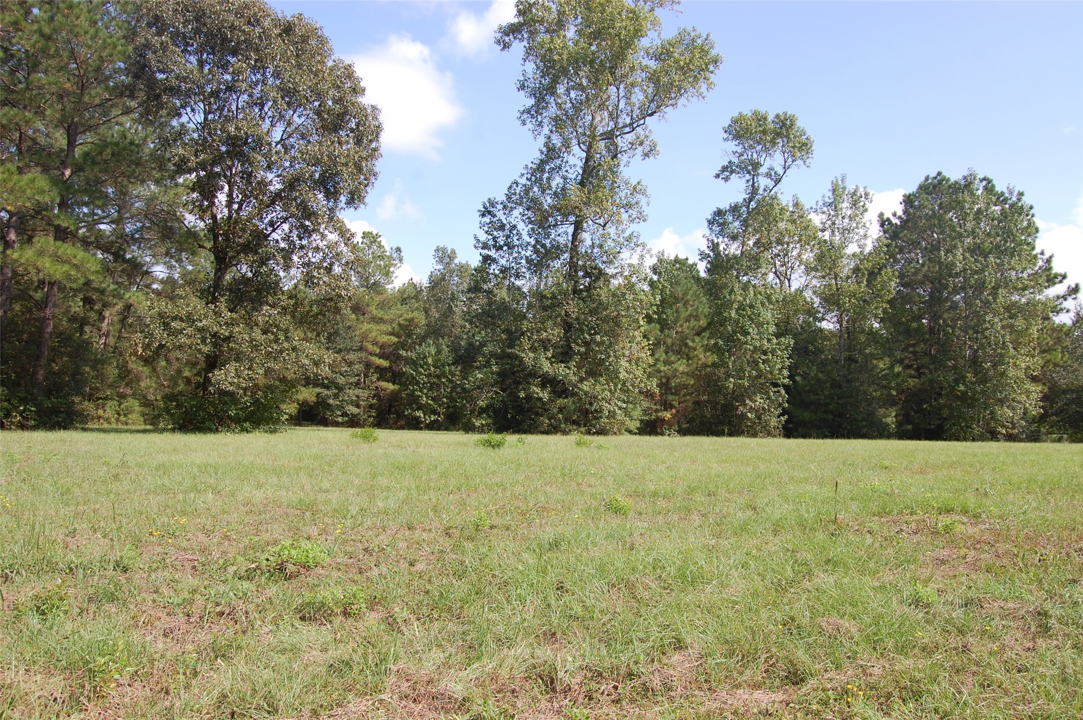 20075 Forestview Drive Property Photo 23