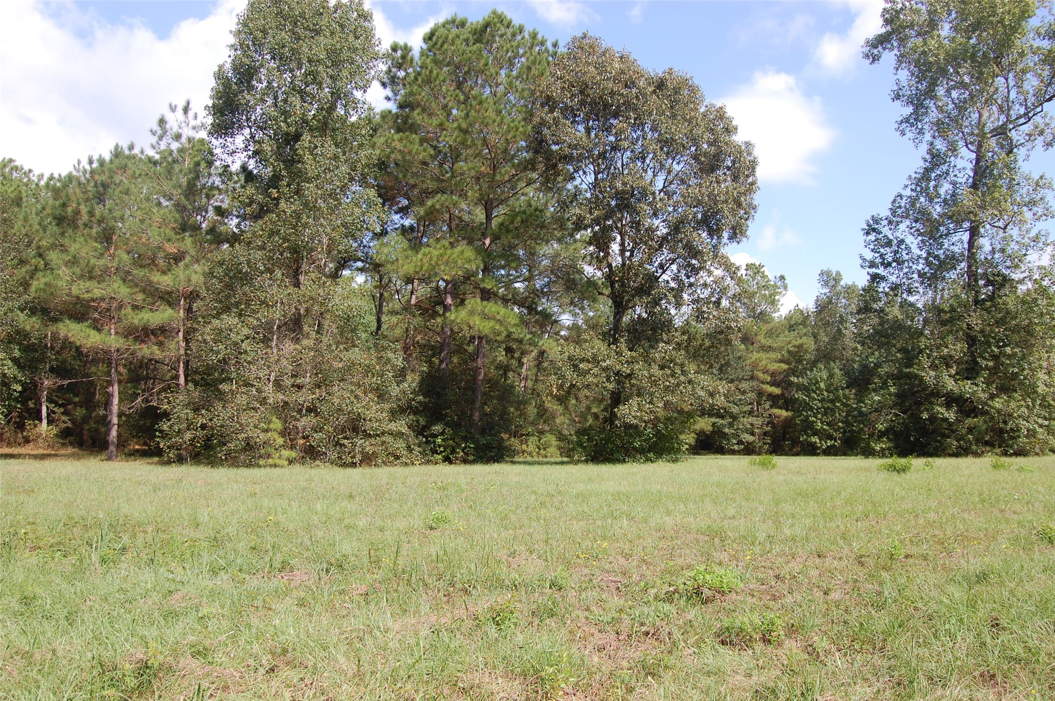 20075 Forestview Drive Property Photo 24