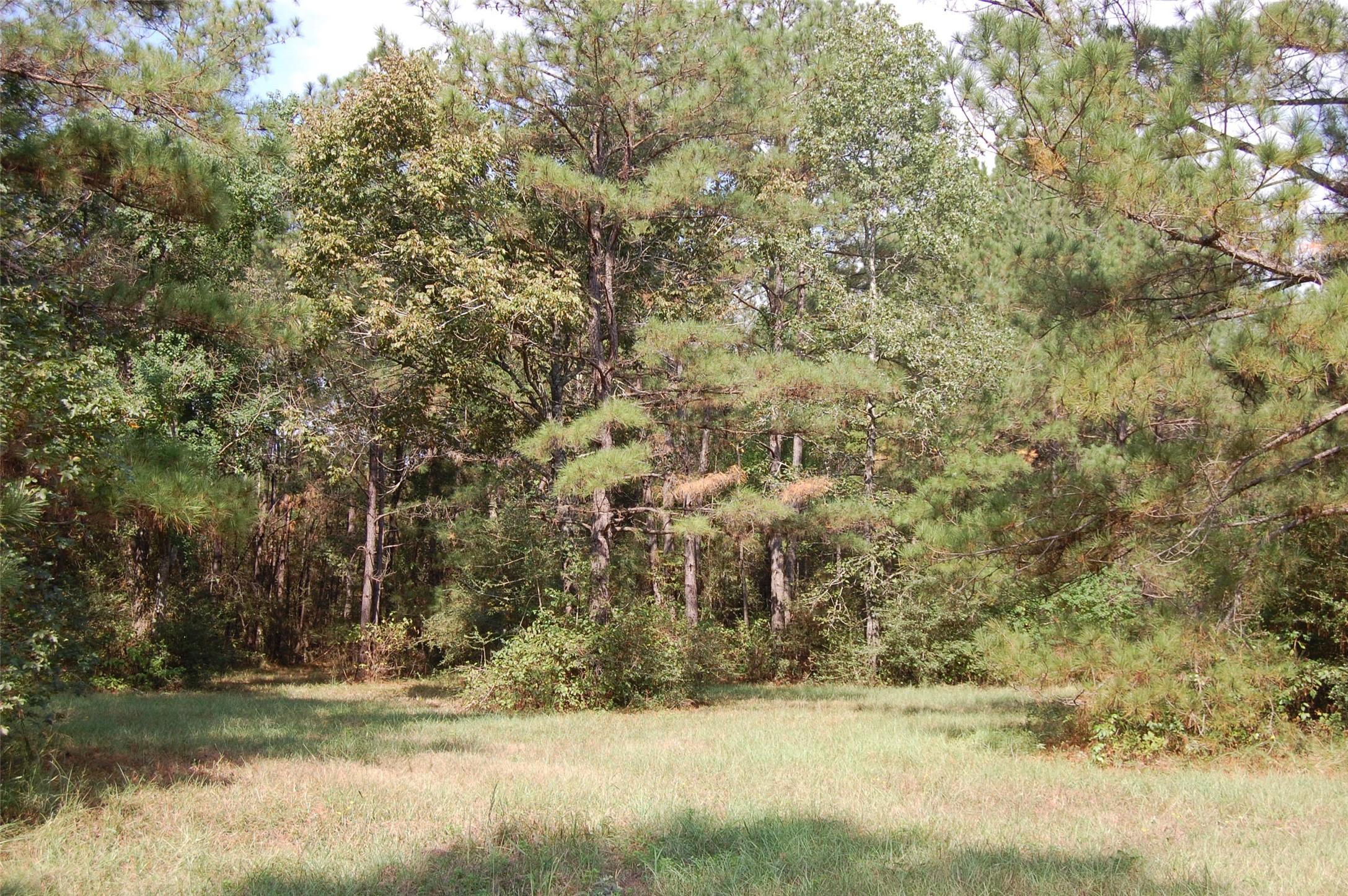 20075 Forestview Drive Property Photo 26