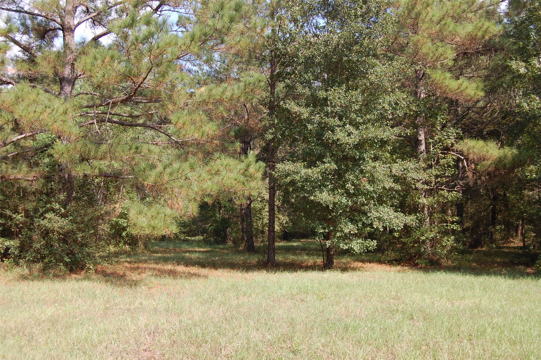 20075 Forestview Drive Property Photo 27