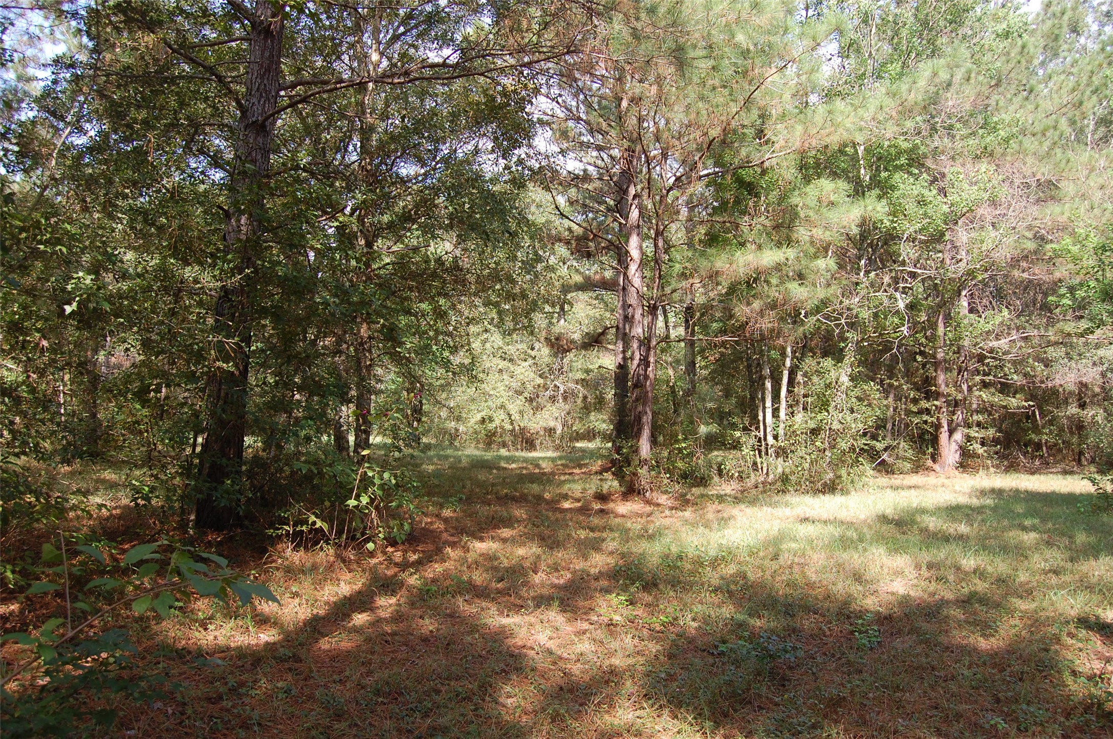 20075 Forestview Drive Property Photo 28