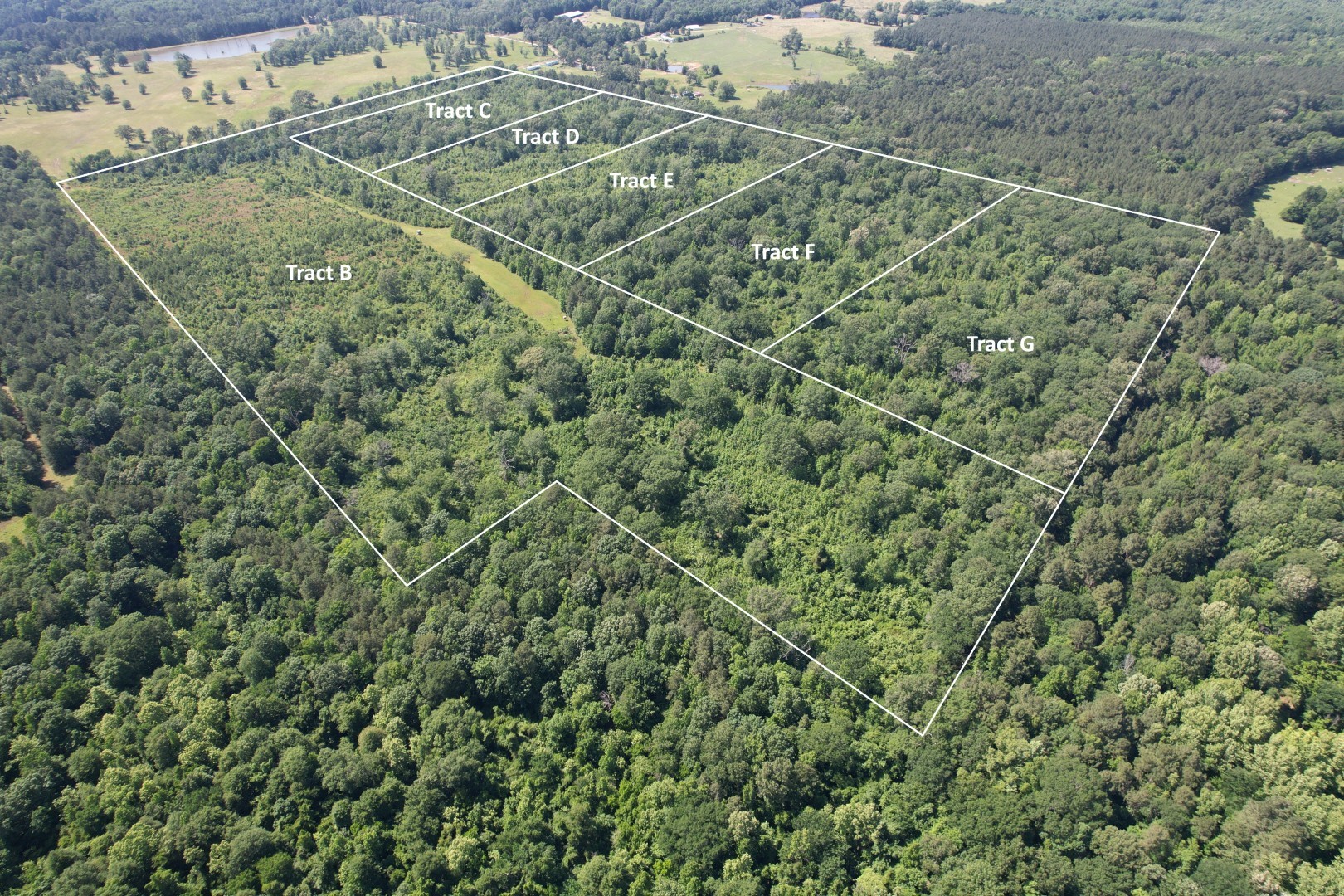 Tbd-e County Road 4021 Property Photo 2