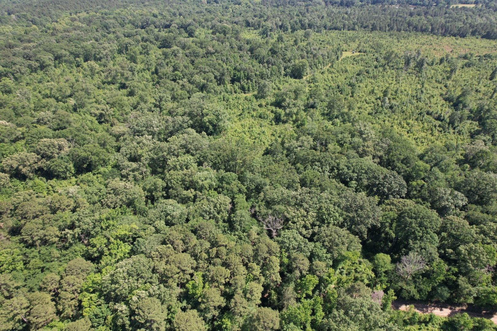 Tbd-e County Road 4021 Property Photo 3