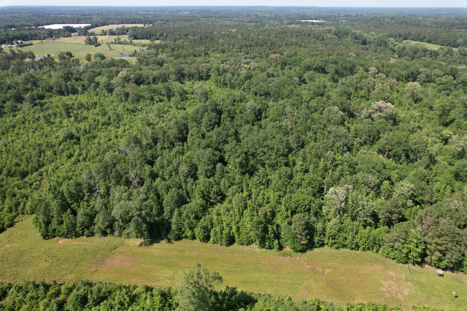 Tbd-e County Road 4021 Property Photo 4