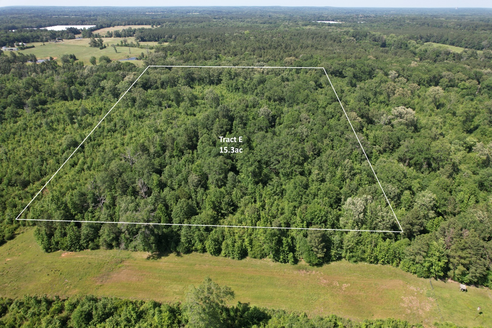 Tbd-e County Road 4021 Property Photo 5