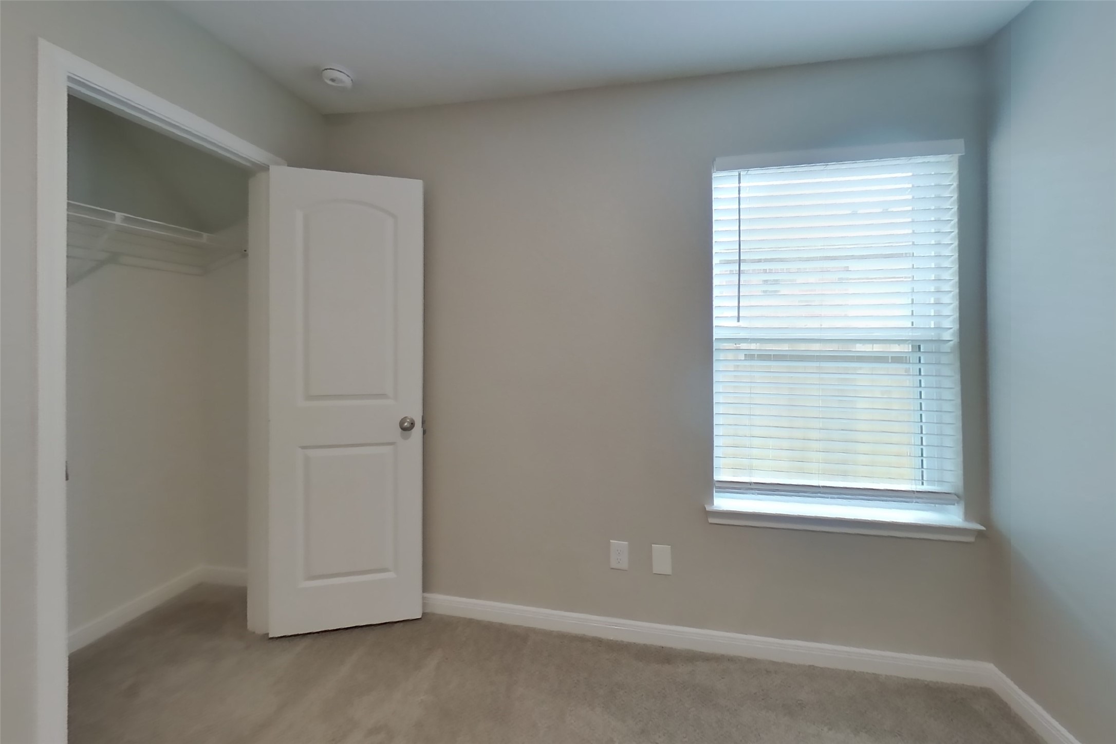 7715 Vacek Meadows Loop Property Photo 10
