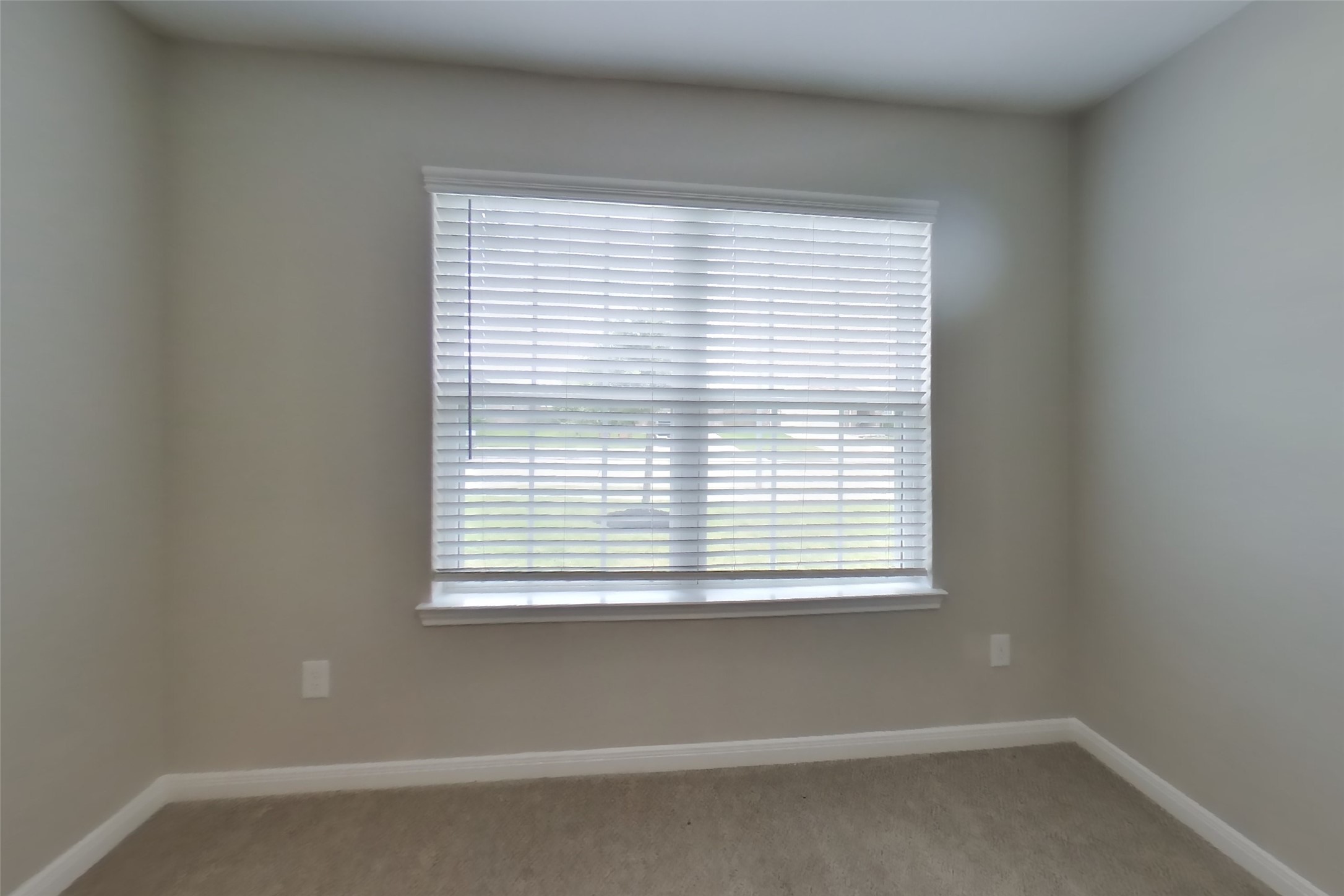 7715 Vacek Meadows Loop Property Photo 11
