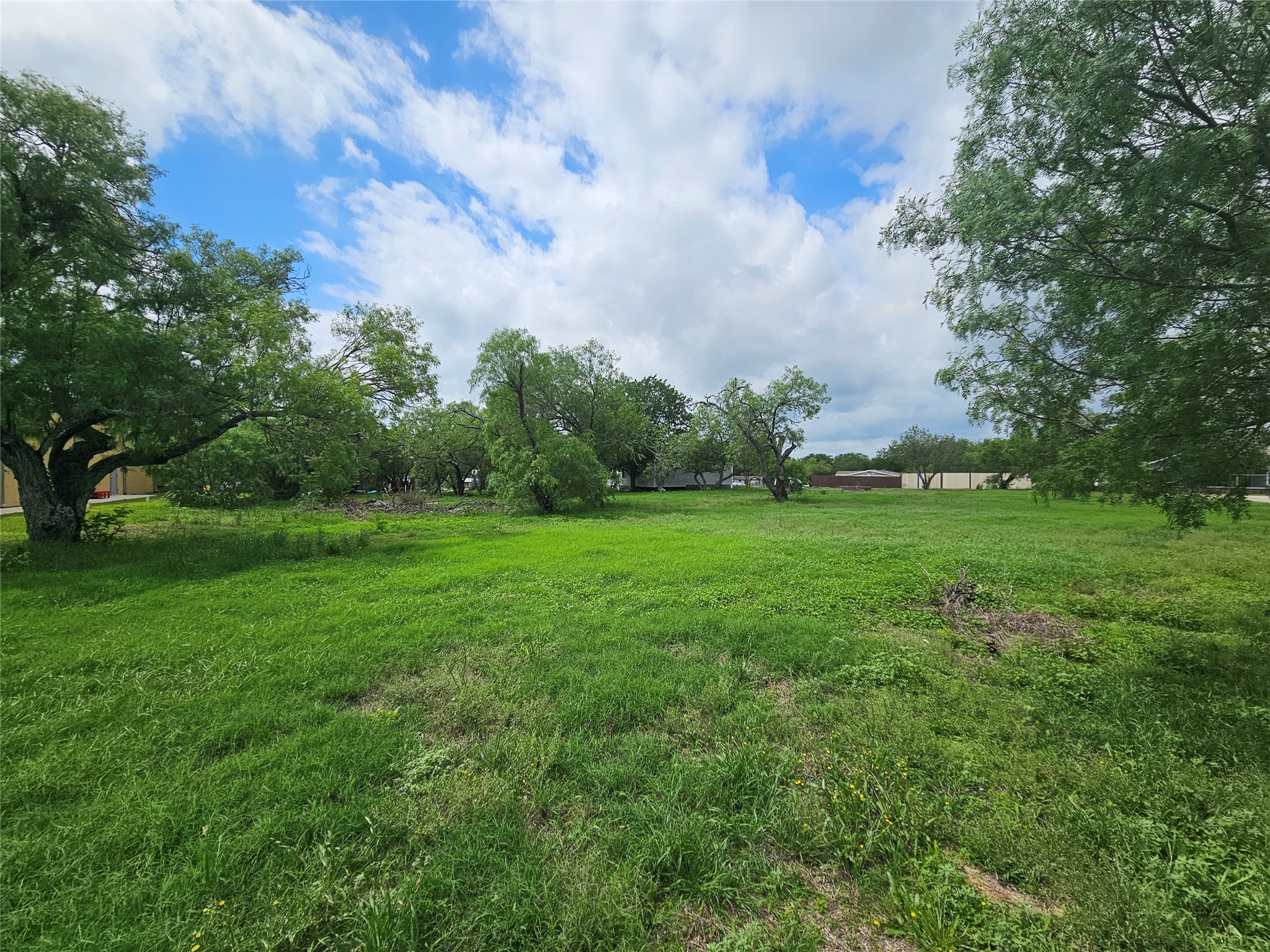 16 Still Meadow Cove Property Photo 6