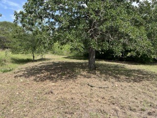 207 Joe Cole Lane Property Photo 1