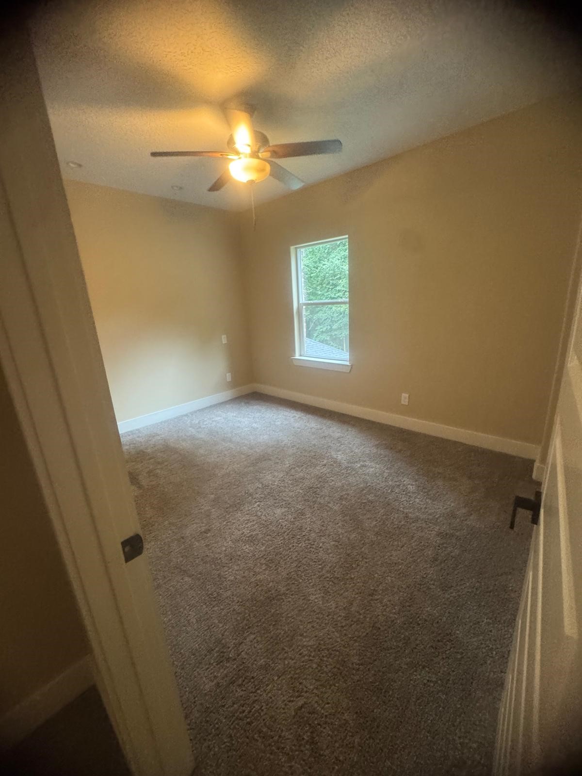 262 Coral Gables Property Photo 9