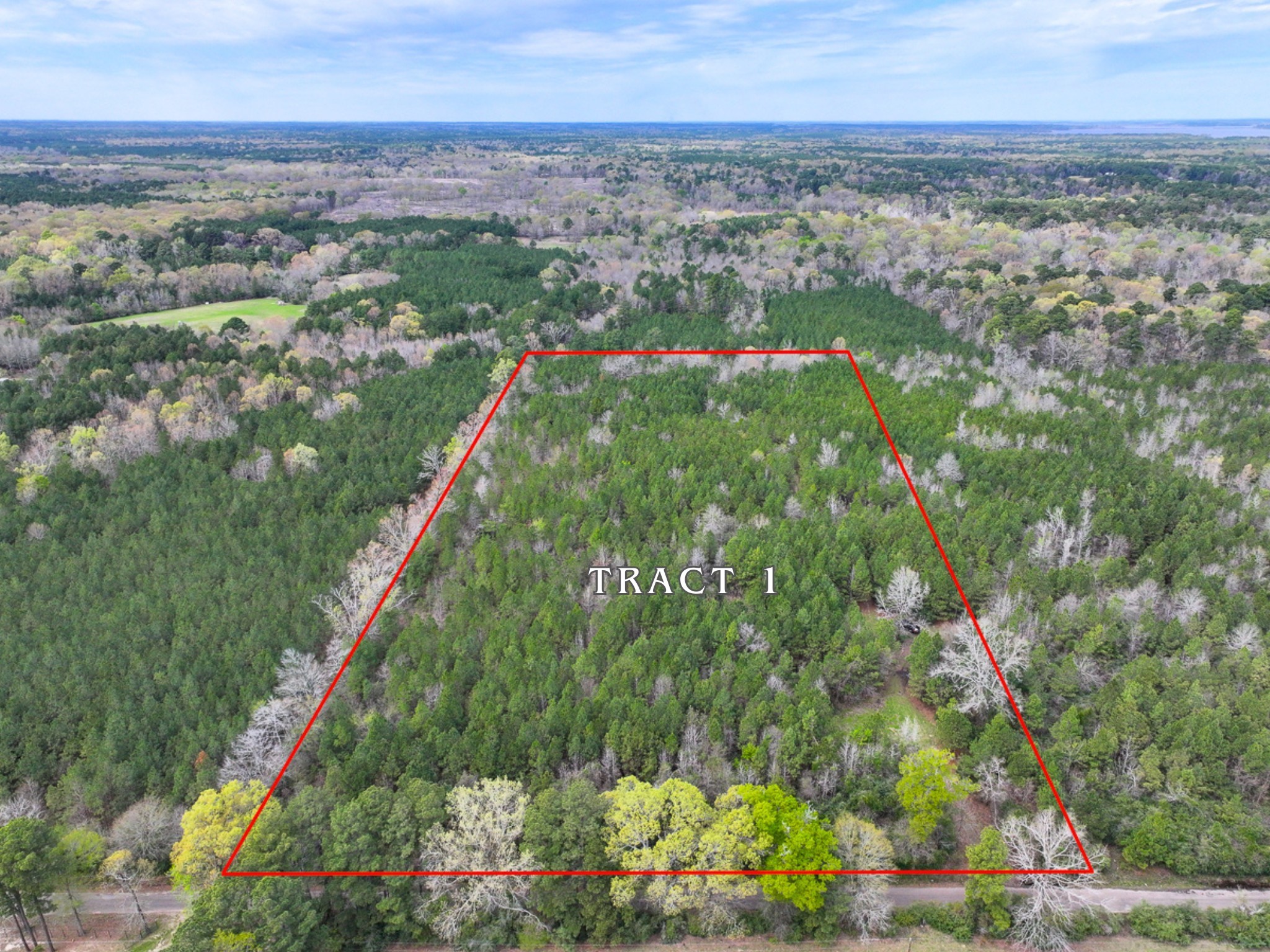 0 Eugene Walker Road Property Photo 13