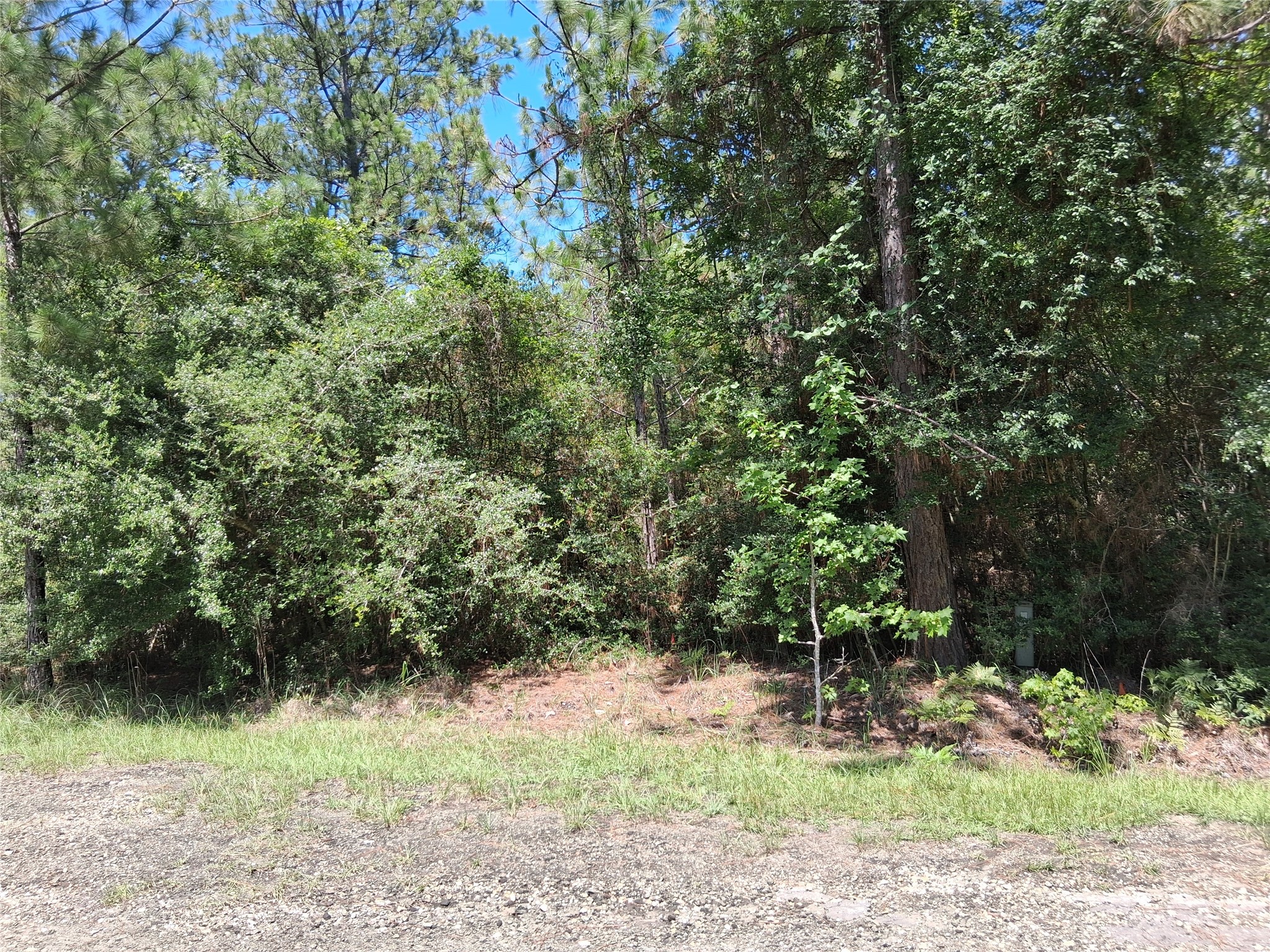 Lot 15 Sec 17 Sumac Drive Property Photo 8