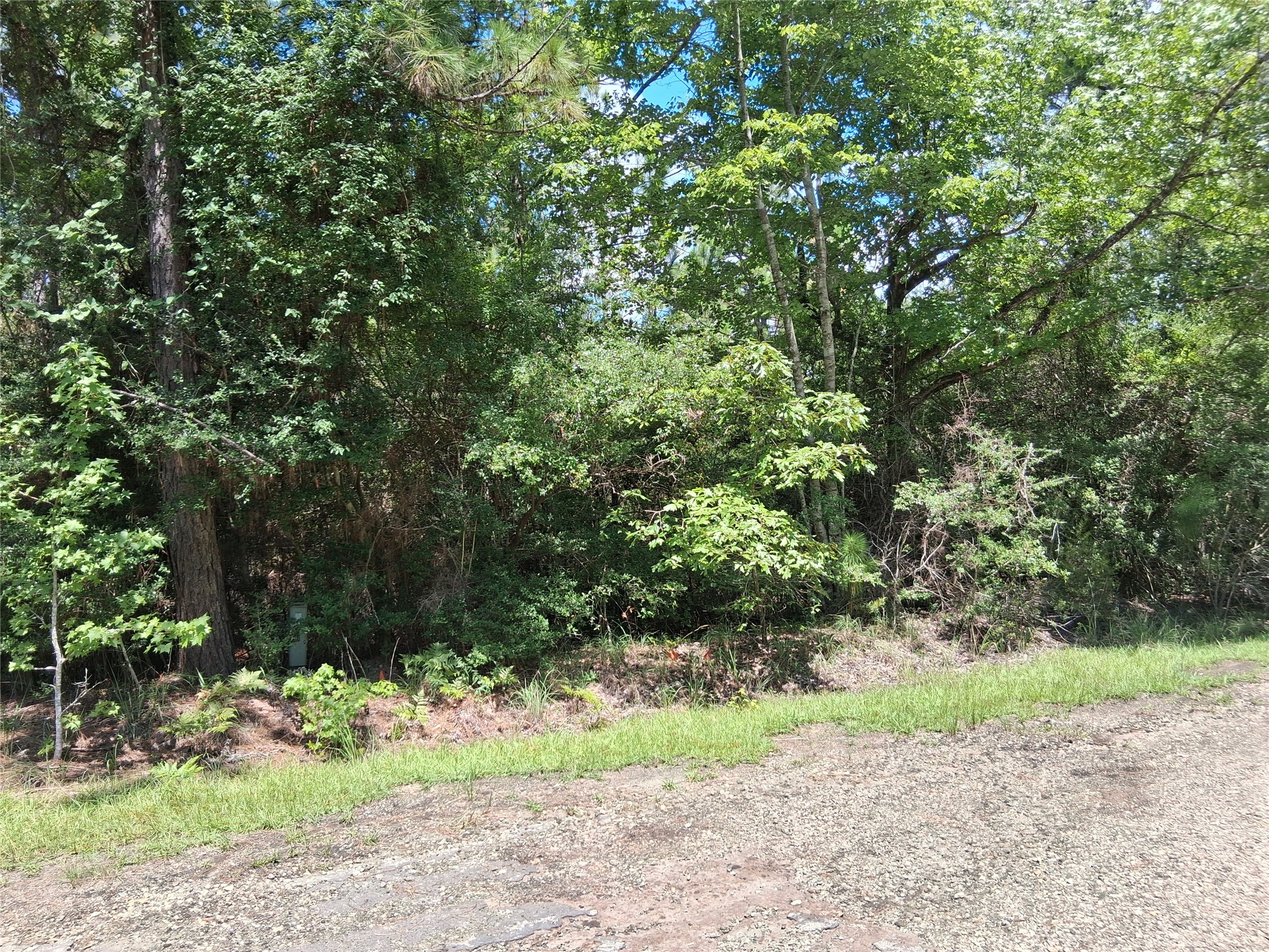 Lot 15 Sec 17 Sumac Drive Property Photo 9
