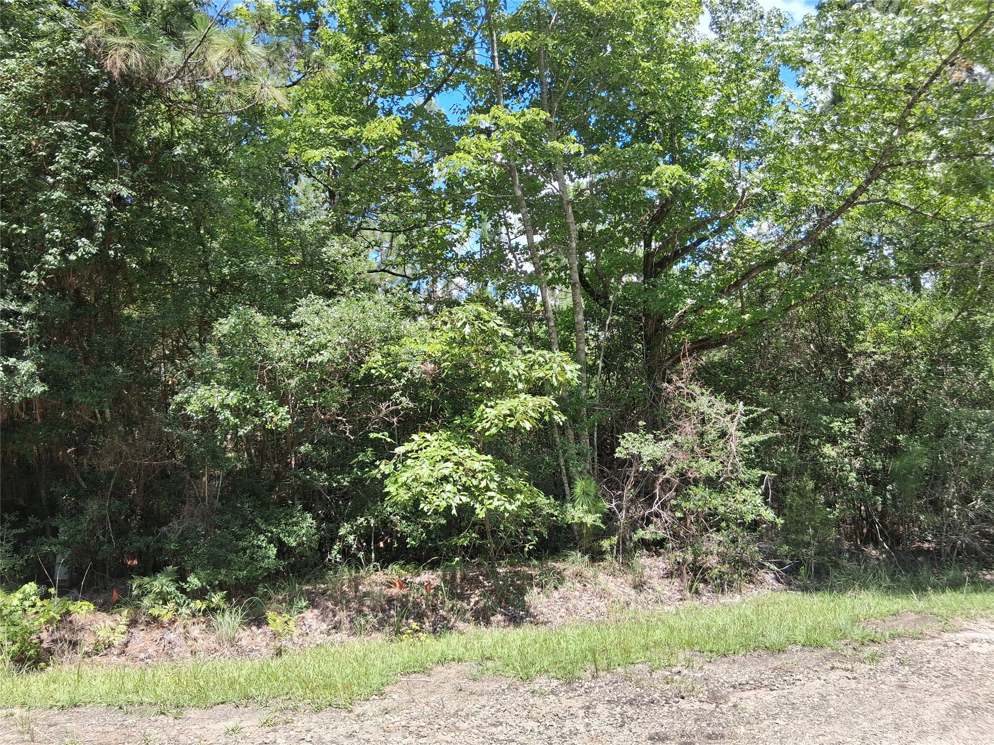 Lot 15 Sec 17 Sumac Drive Property Photo 10