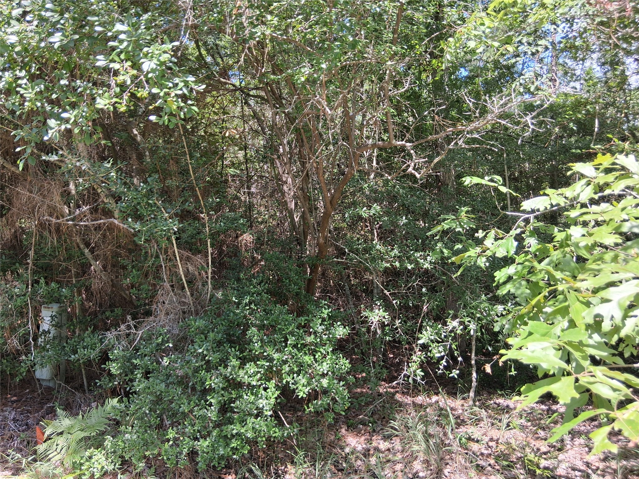Lot 15 Sec 17 Sumac Drive Property Photo 11
