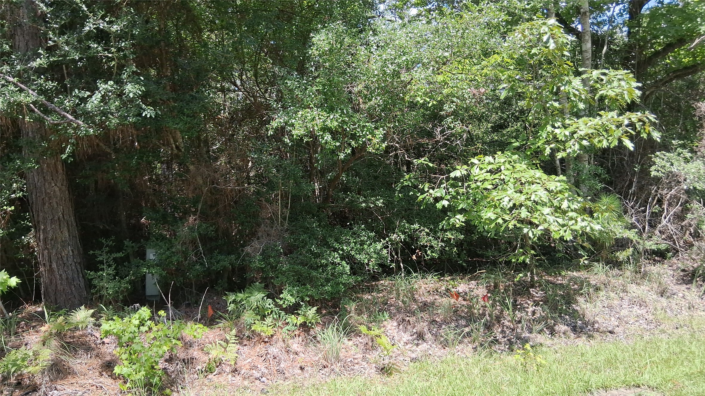 Lot 15 Sec 17 Sumac Drive Property Photo 12