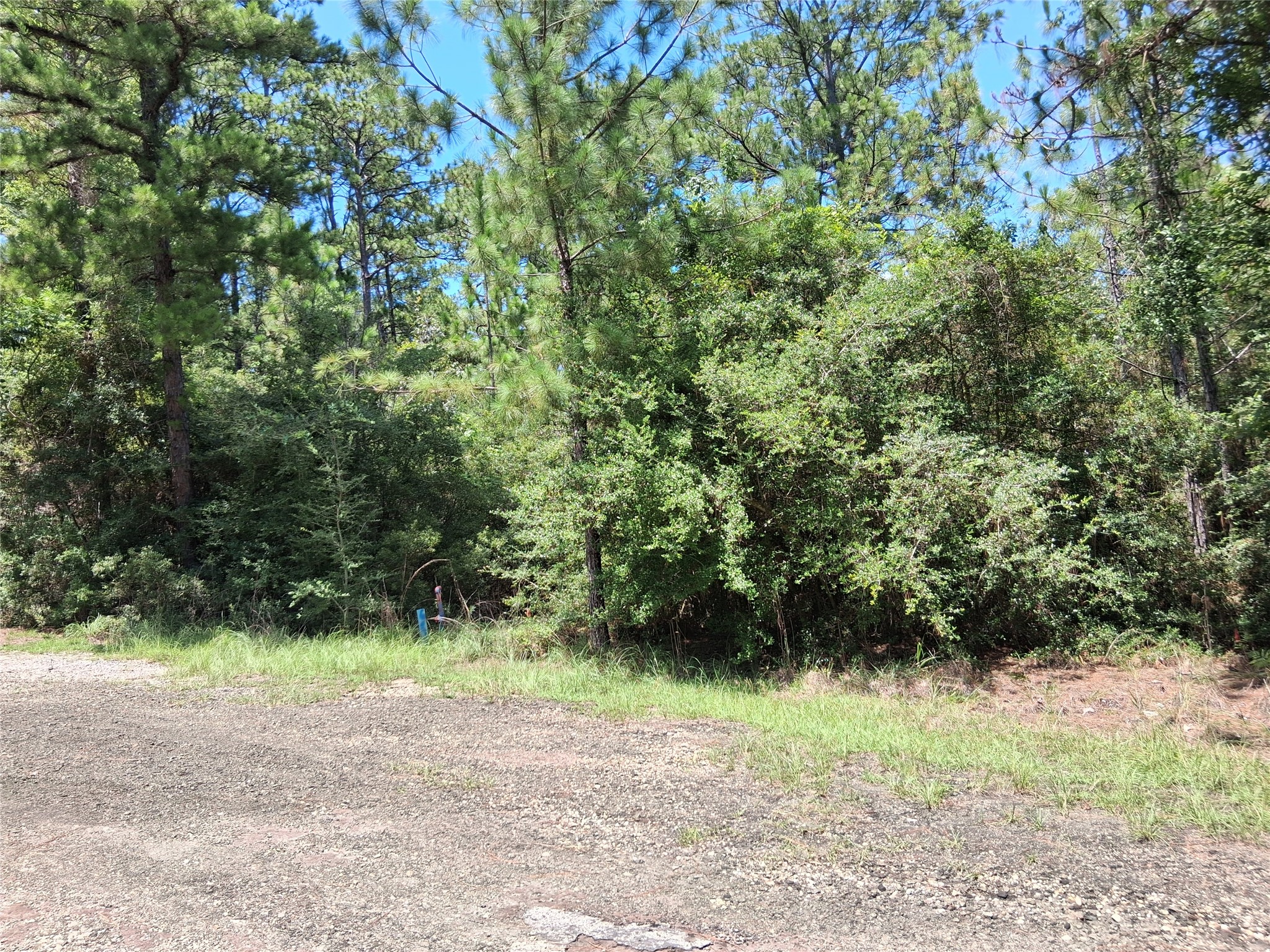 Lot 15 Sec 17 Sumac Drive Property Photo 13