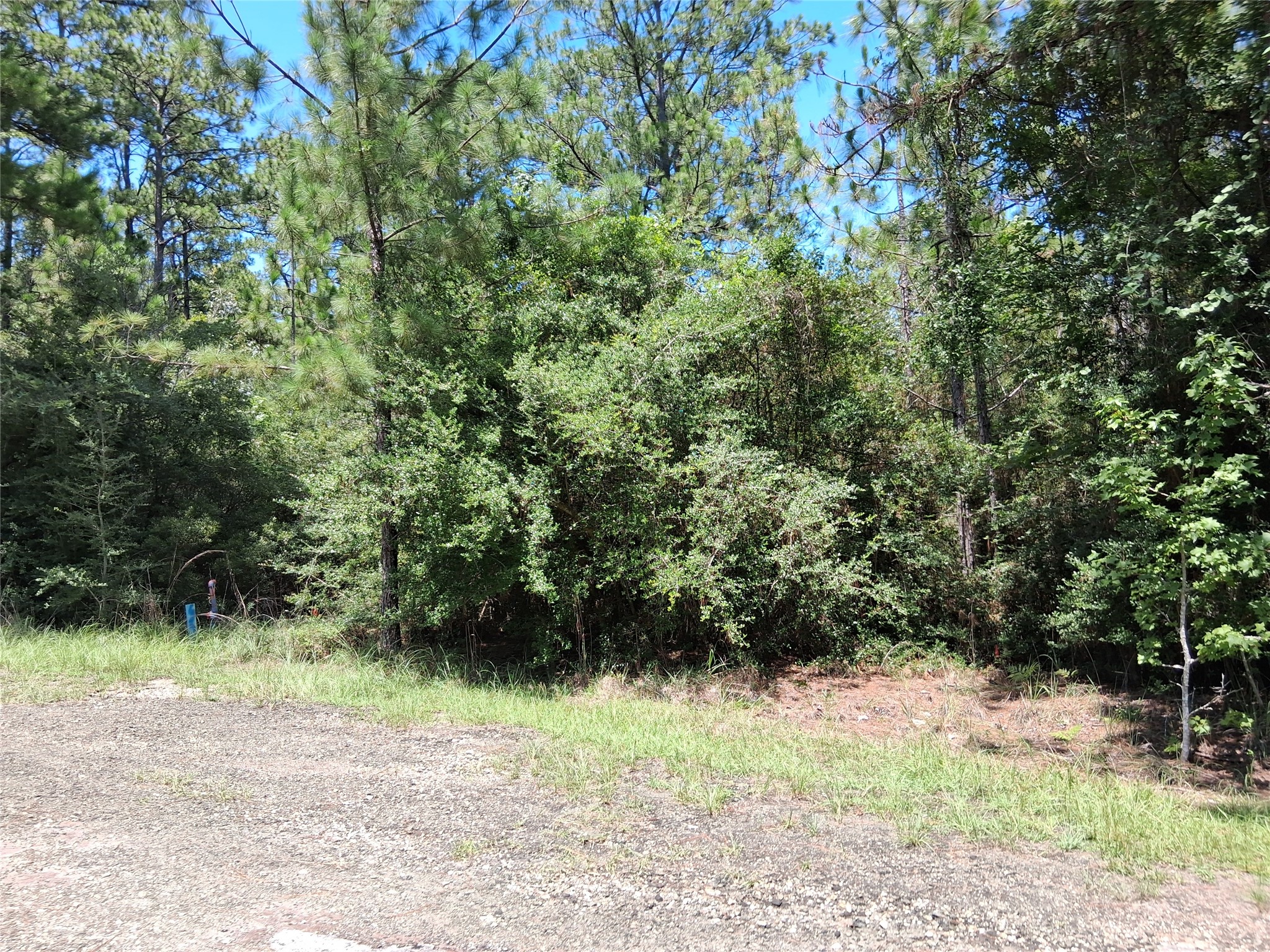 Lot 15 Sec 17 Sumac Drive Property Photo 14