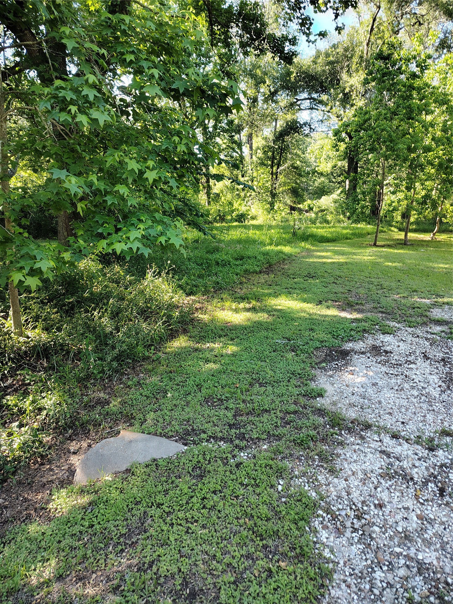 101 Pine Bend Court Property Photo 1