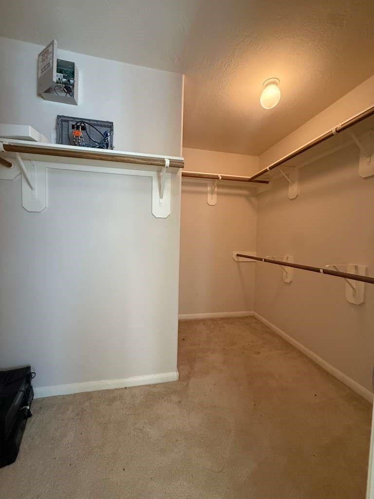 8726 Rollick Drive Property Photo 24