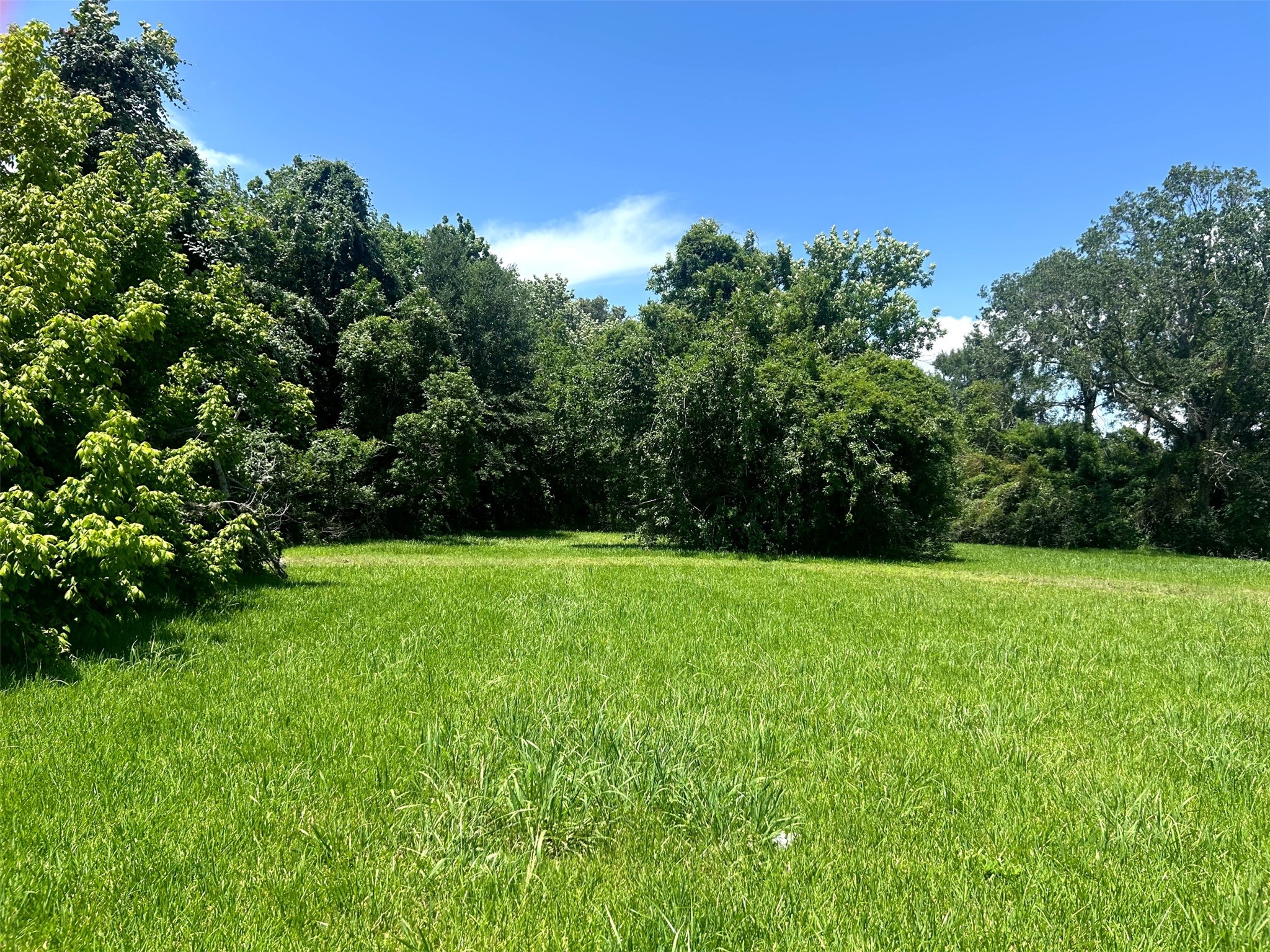 1410 E James Street Property Photo 1