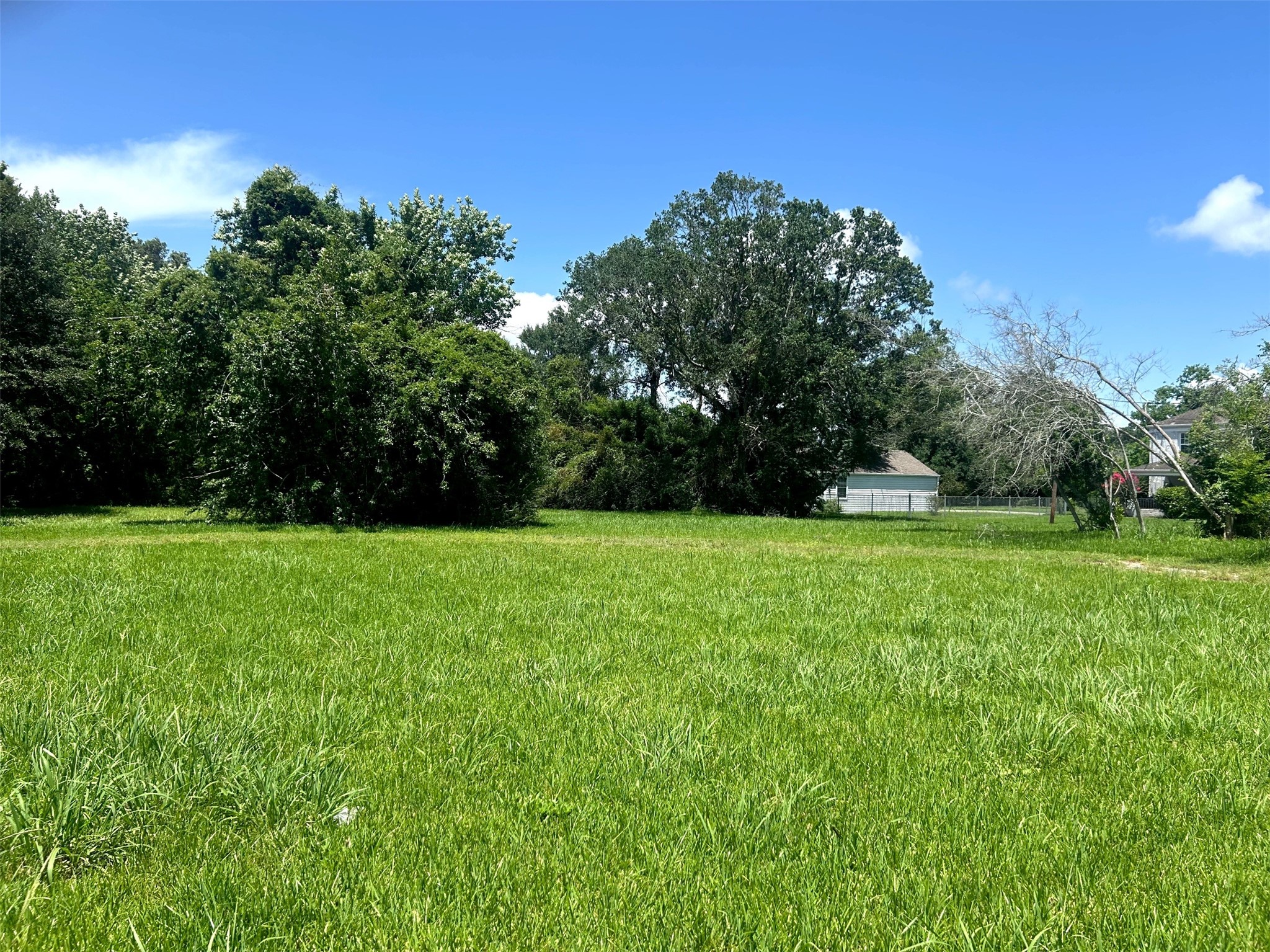 1410 E James Street Property Photo 5