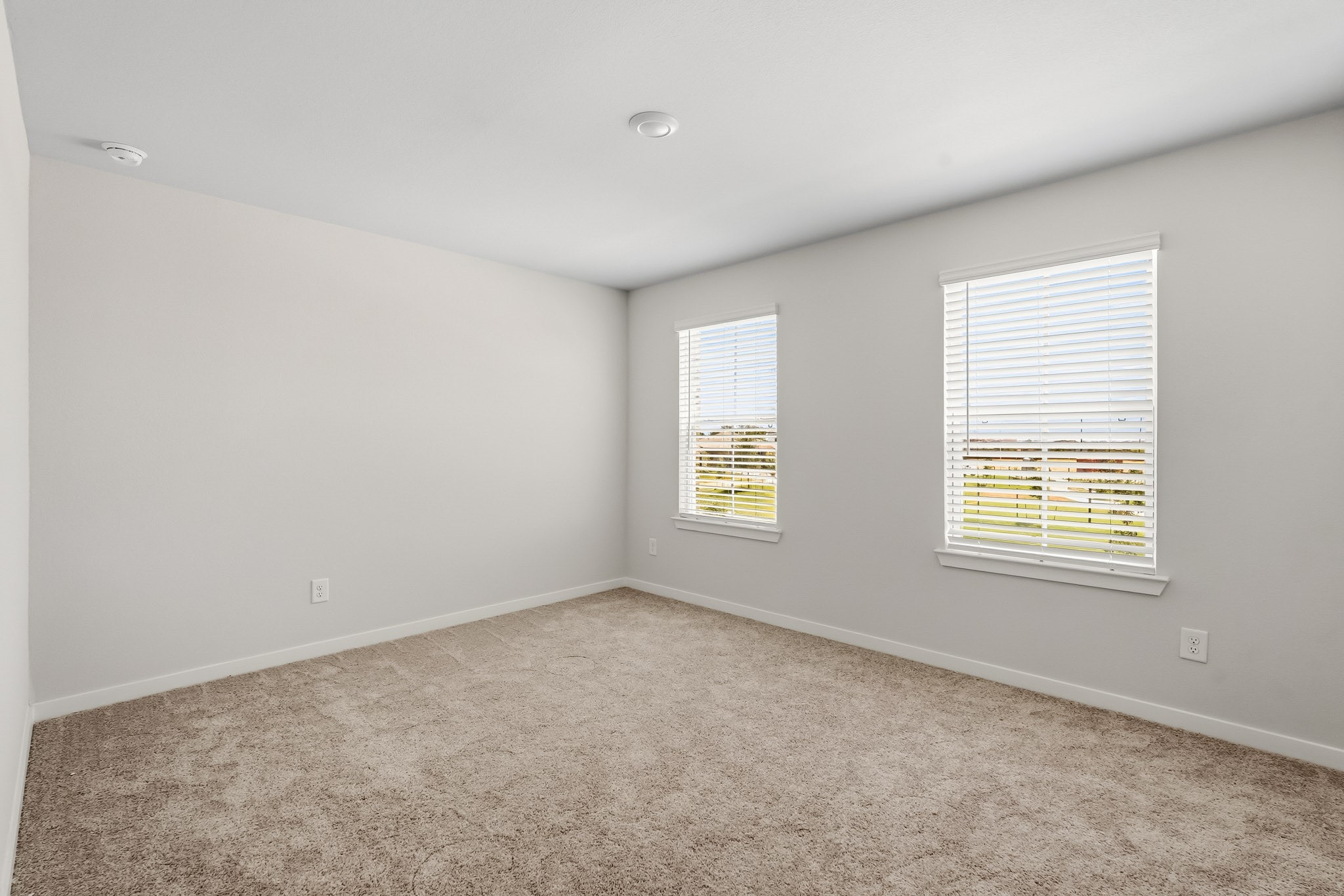 29018 Fig Vine Drive Property Photo 13