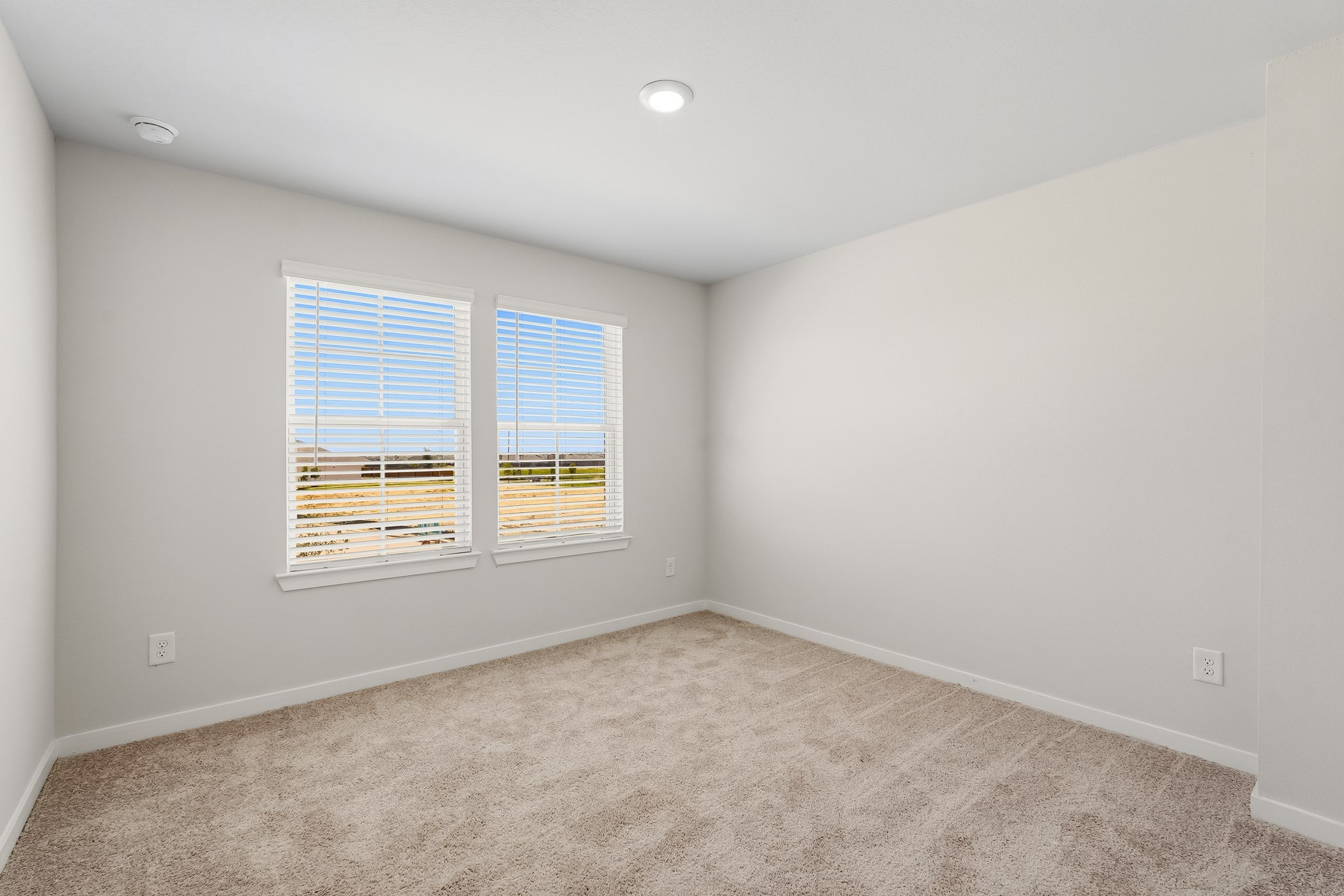 29018 Fig Vine Drive Property Photo 16