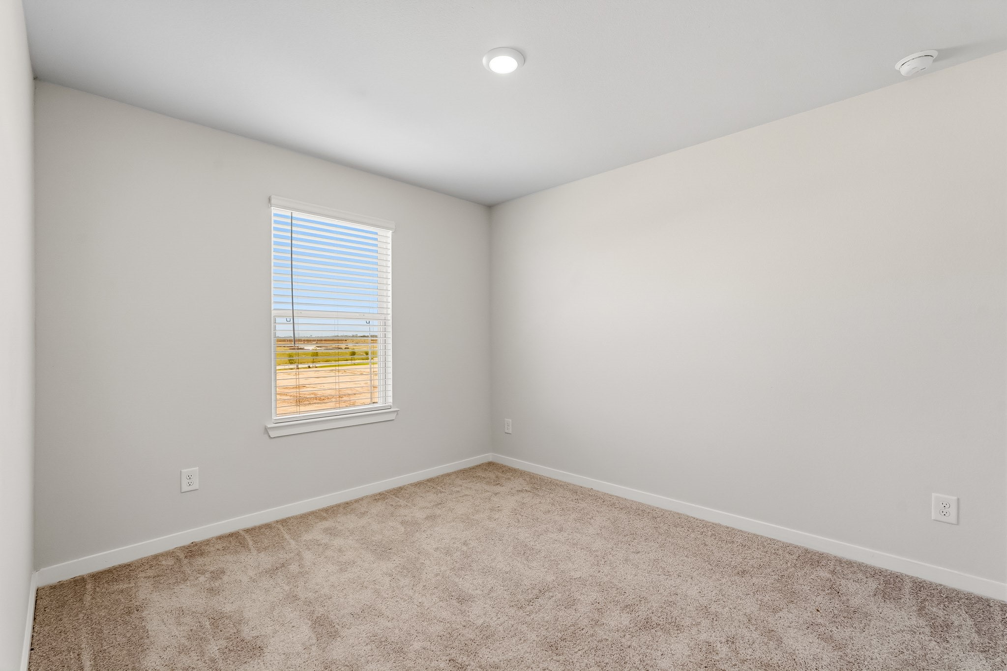 29018 Fig Vine Drive Property Photo 17
