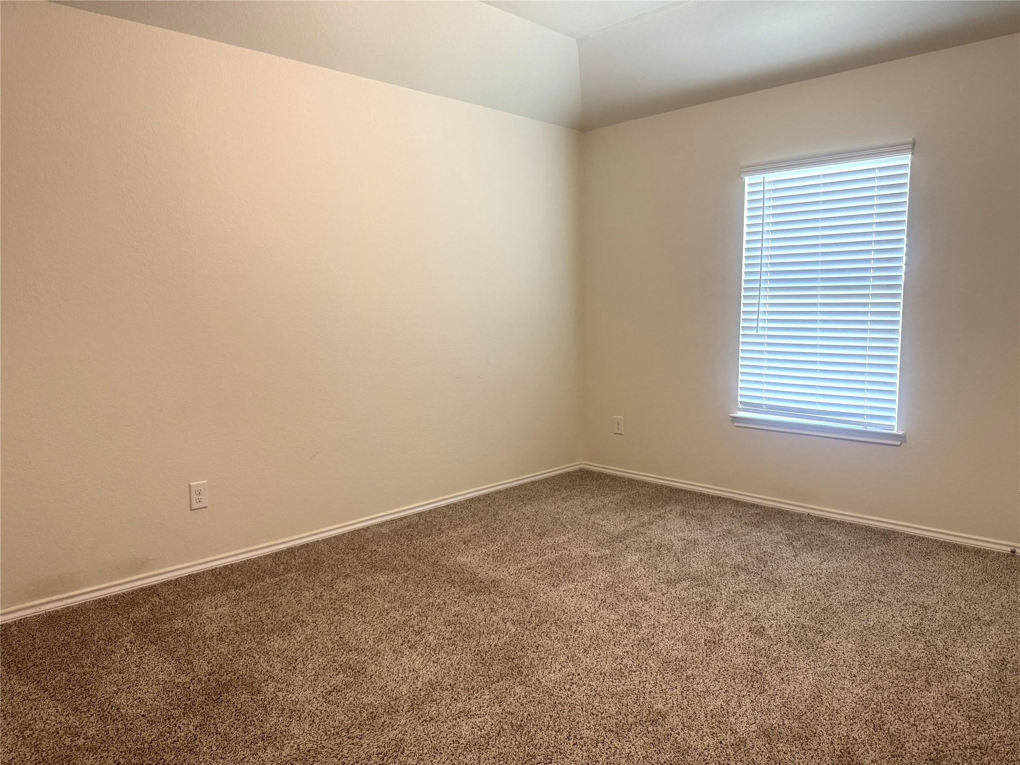 9431 Summer River Drive Property Photo 18