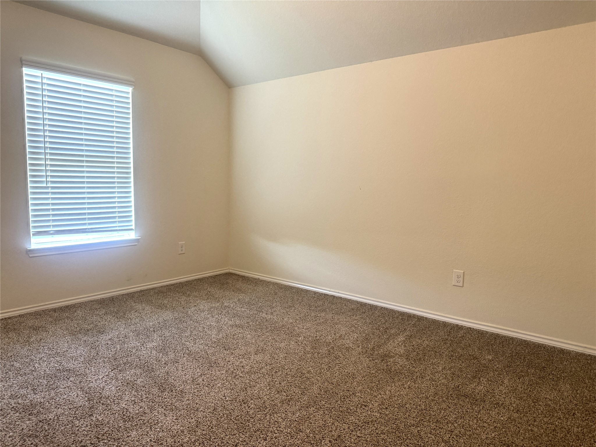 9431 Summer River Drive Property Photo 19