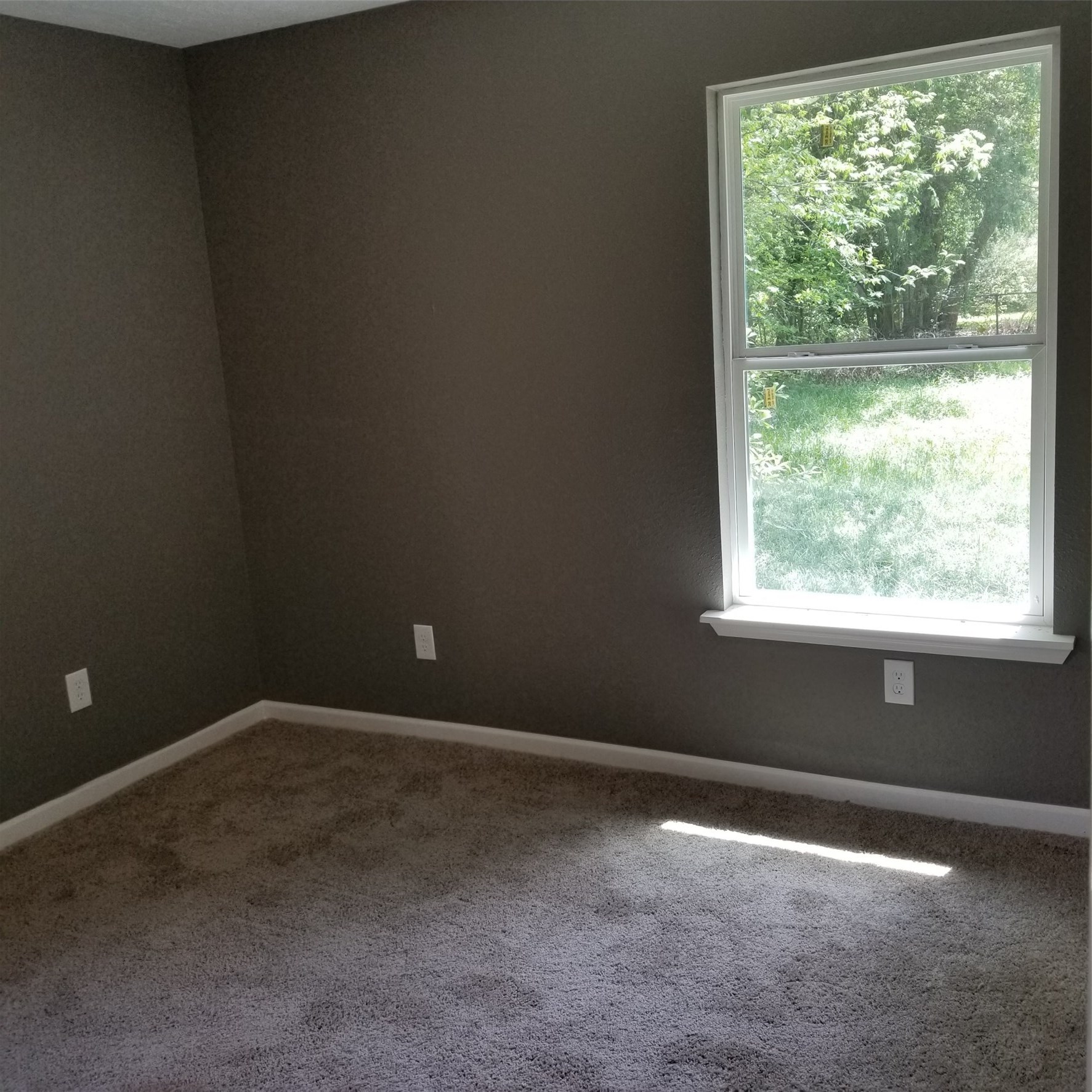 5910 Van Fleet Street Property Photo 7