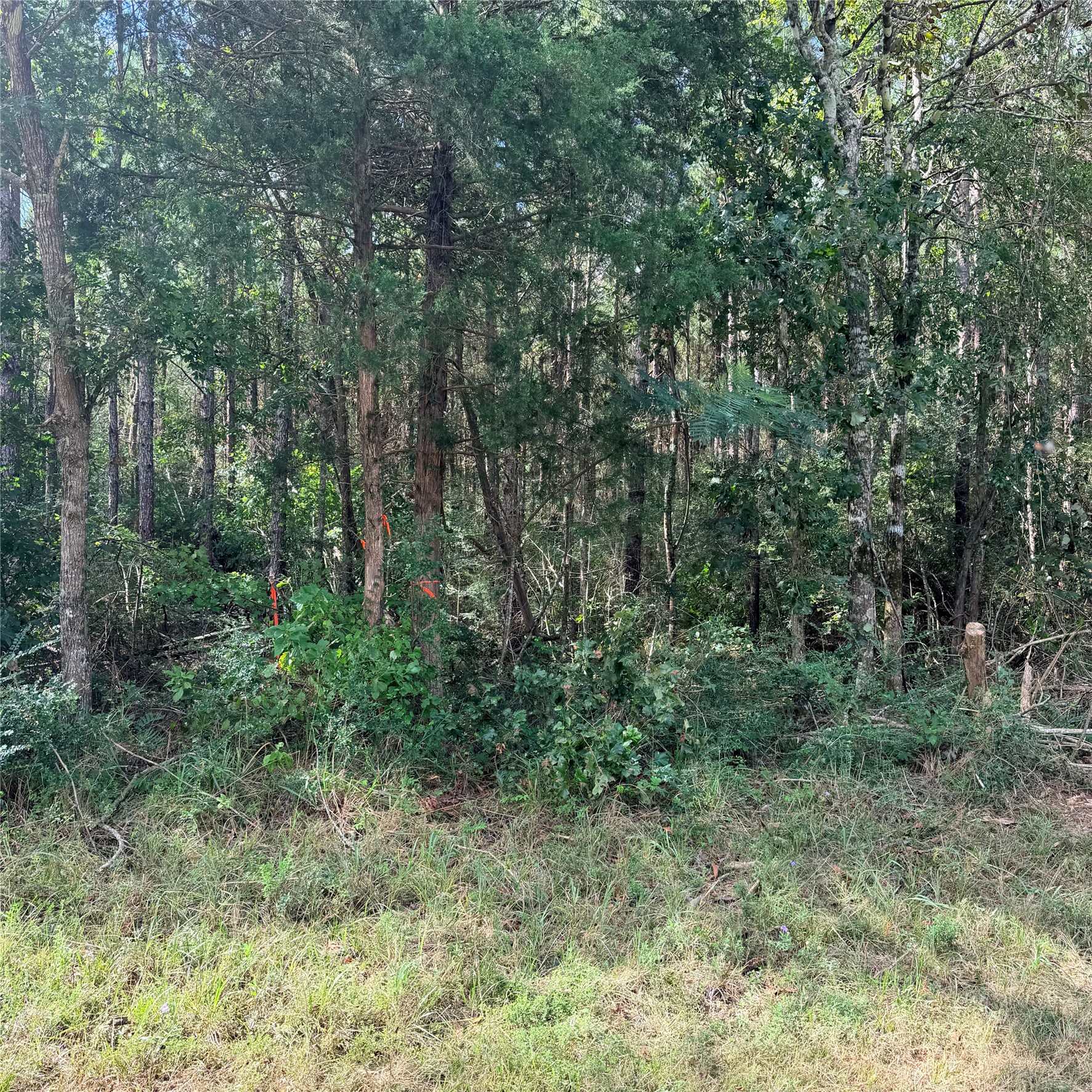 Tbd Fm 943 3 Acres Property Photo 1