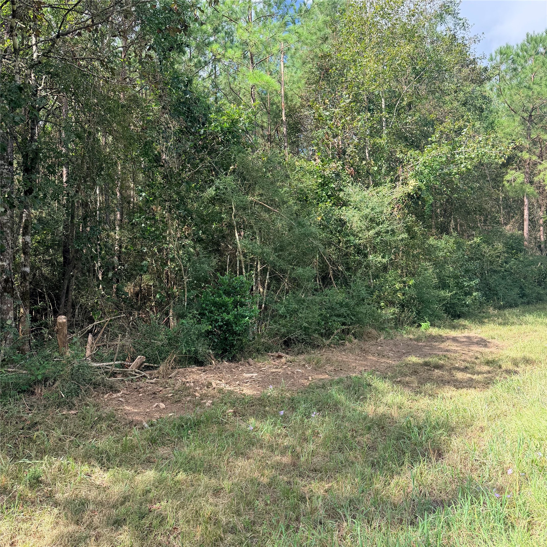 Tbd Fm 943 3 Acres Property Photo 3