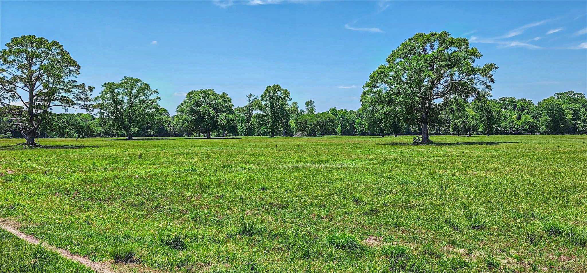 000 Tinney Road Property Photo 4