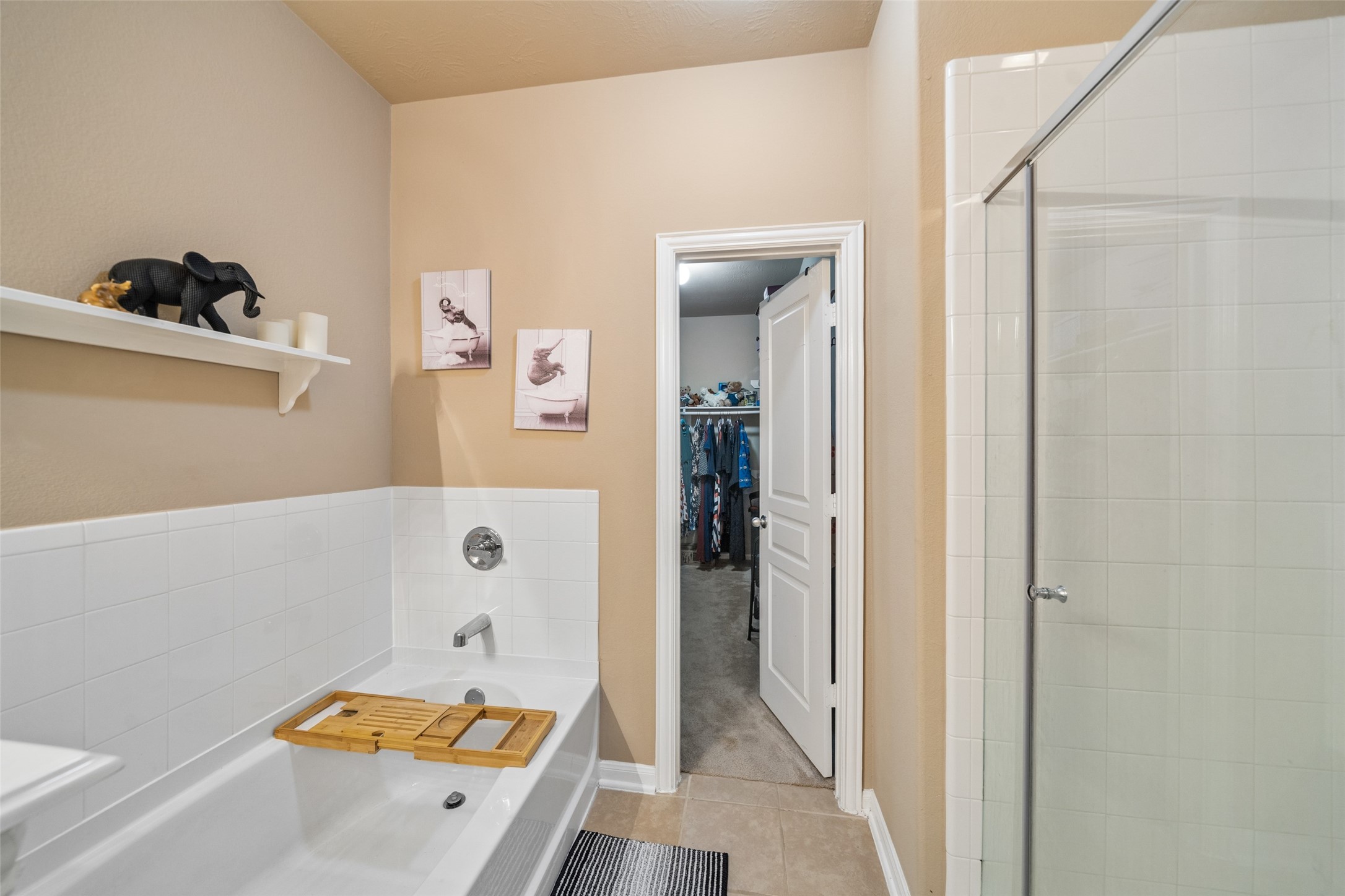 8218 Almera Falls Drive Property Photo 19