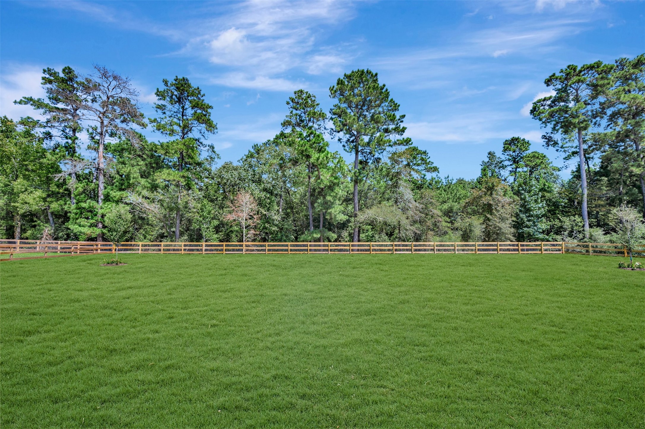 16639 Gaines Glen Lane Property Photo 8