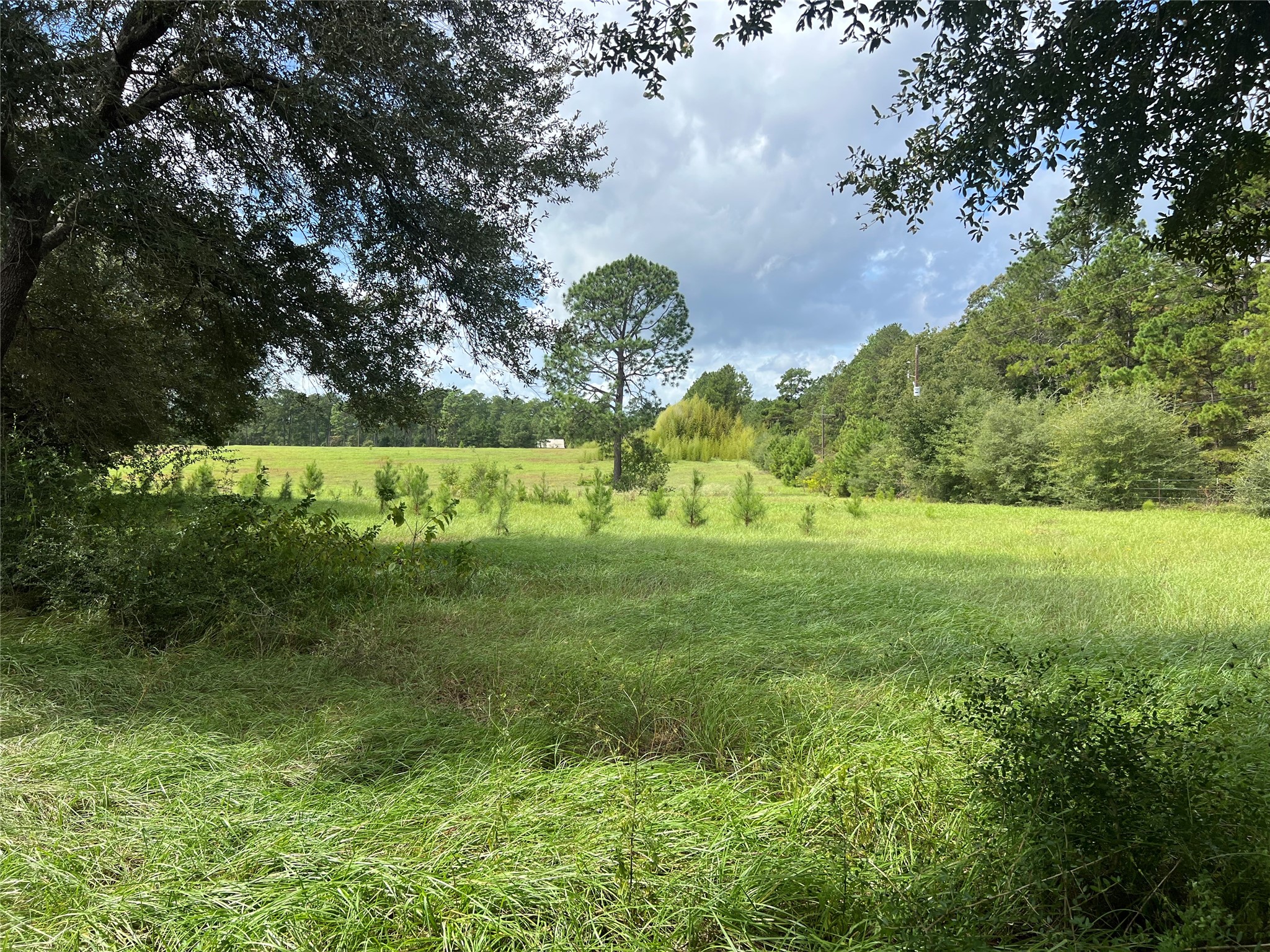 Tbd Private Road 8309 Property Photo 2